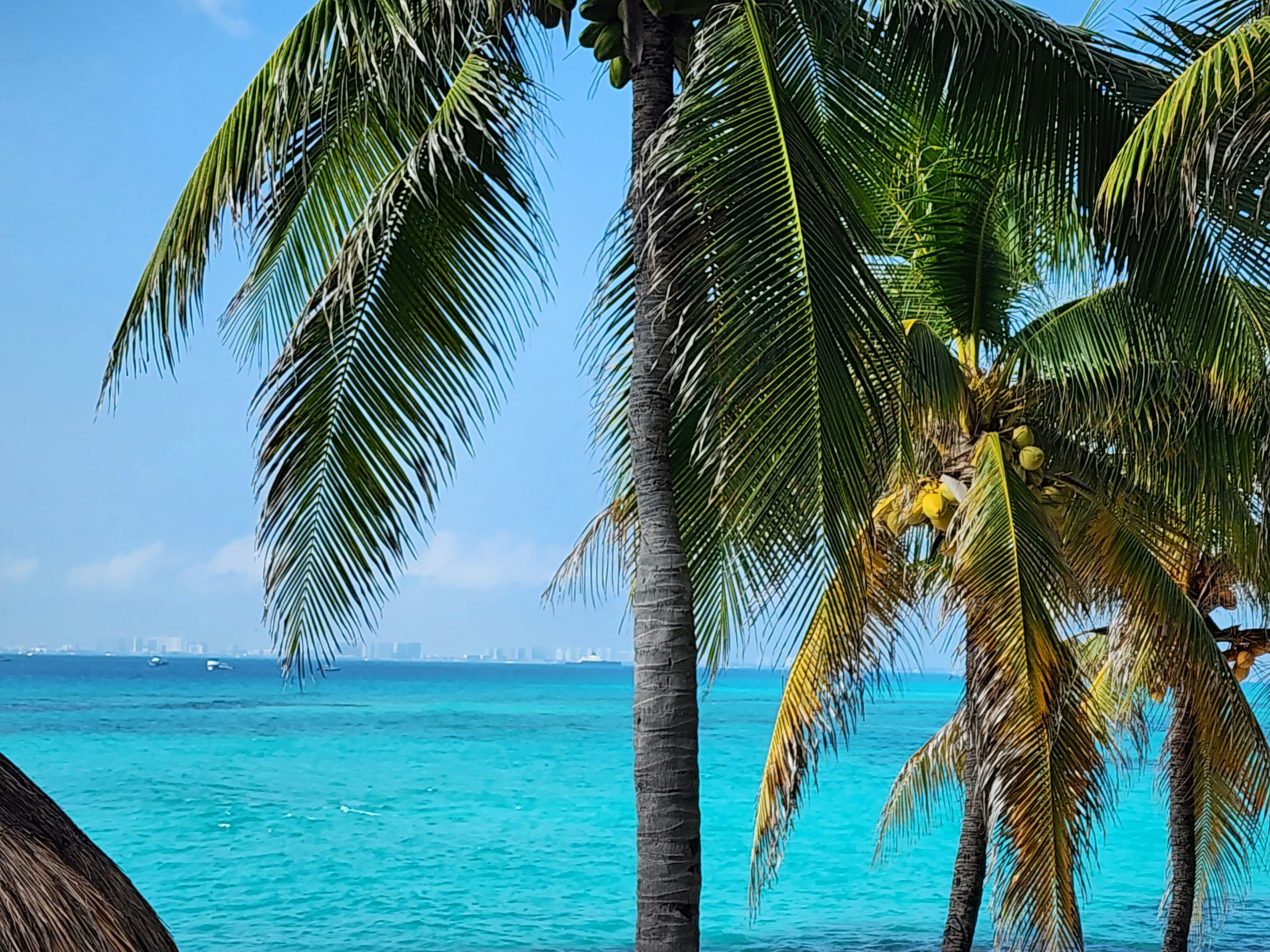 Photo by harindranvikram