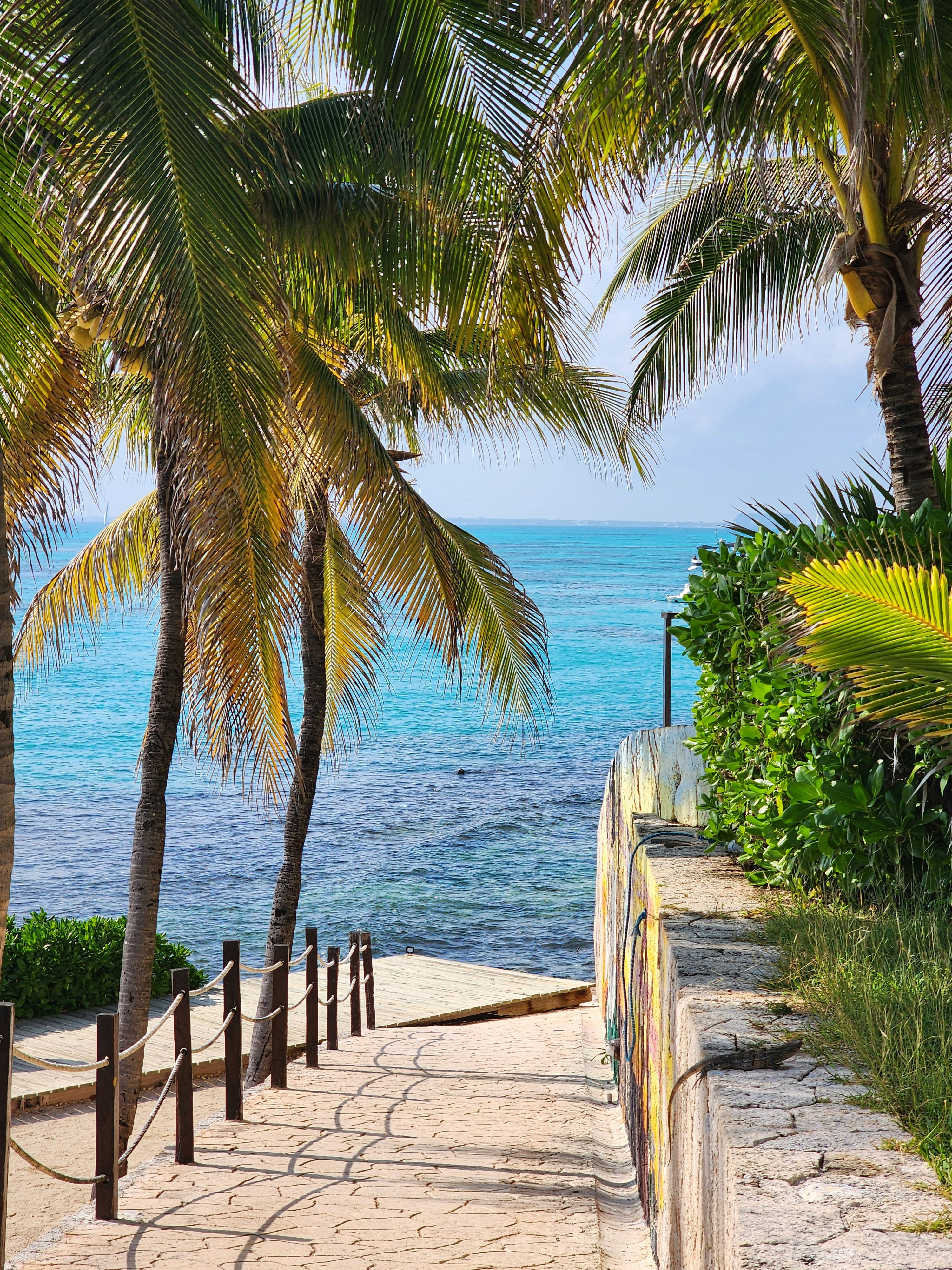 Photo by harindranvikram