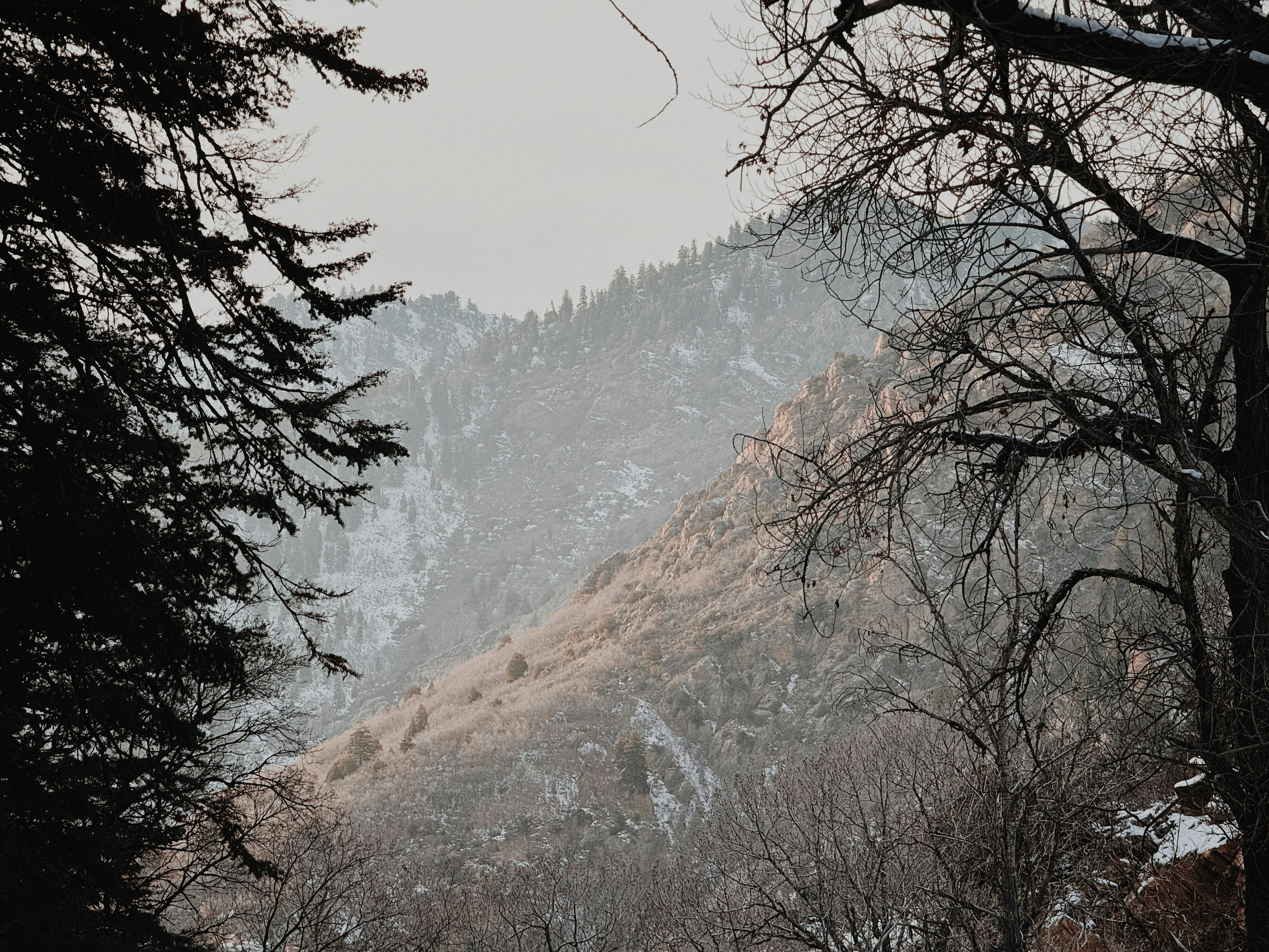 Photo by unknownutah