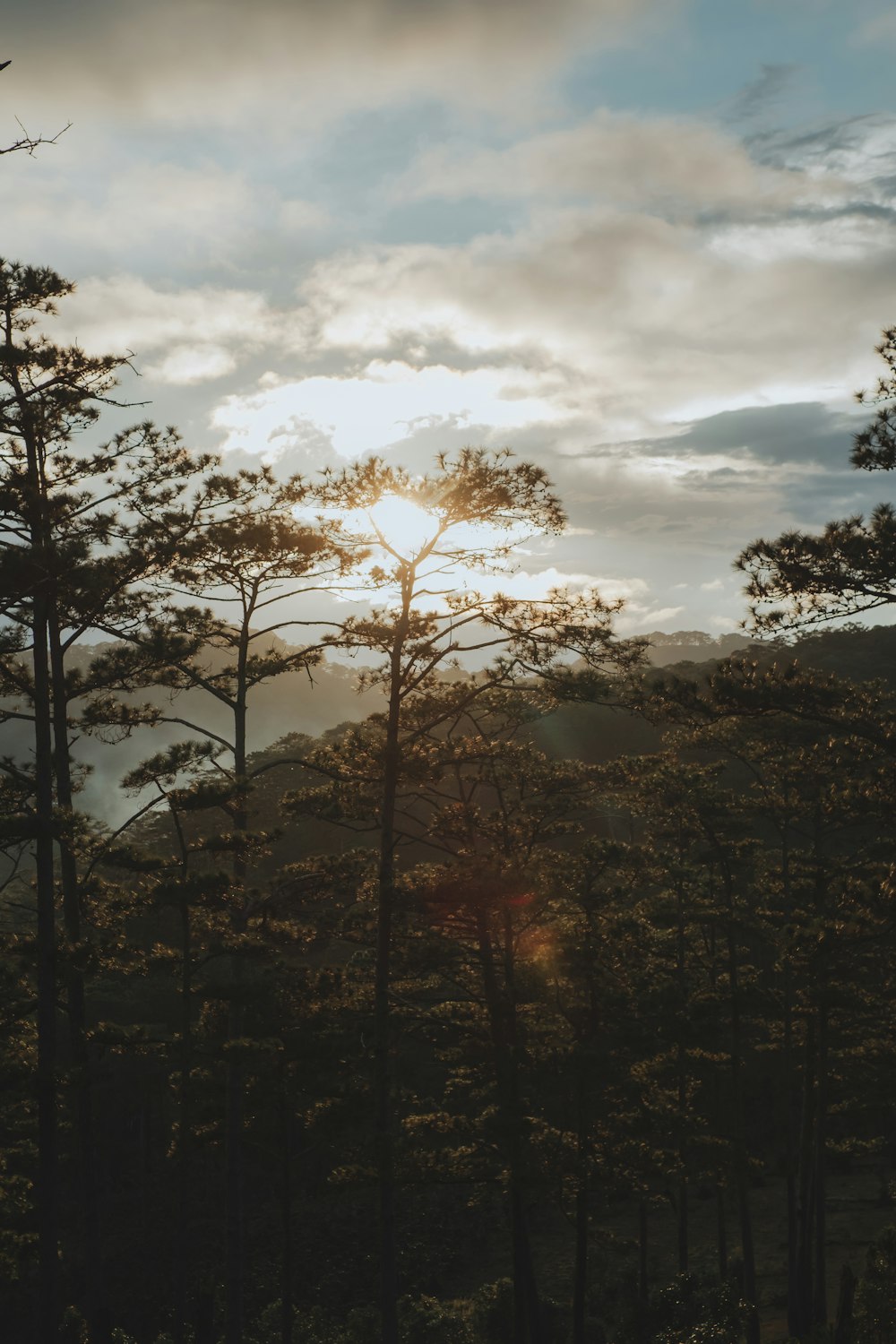 the sun is shining through the clouds over the trees