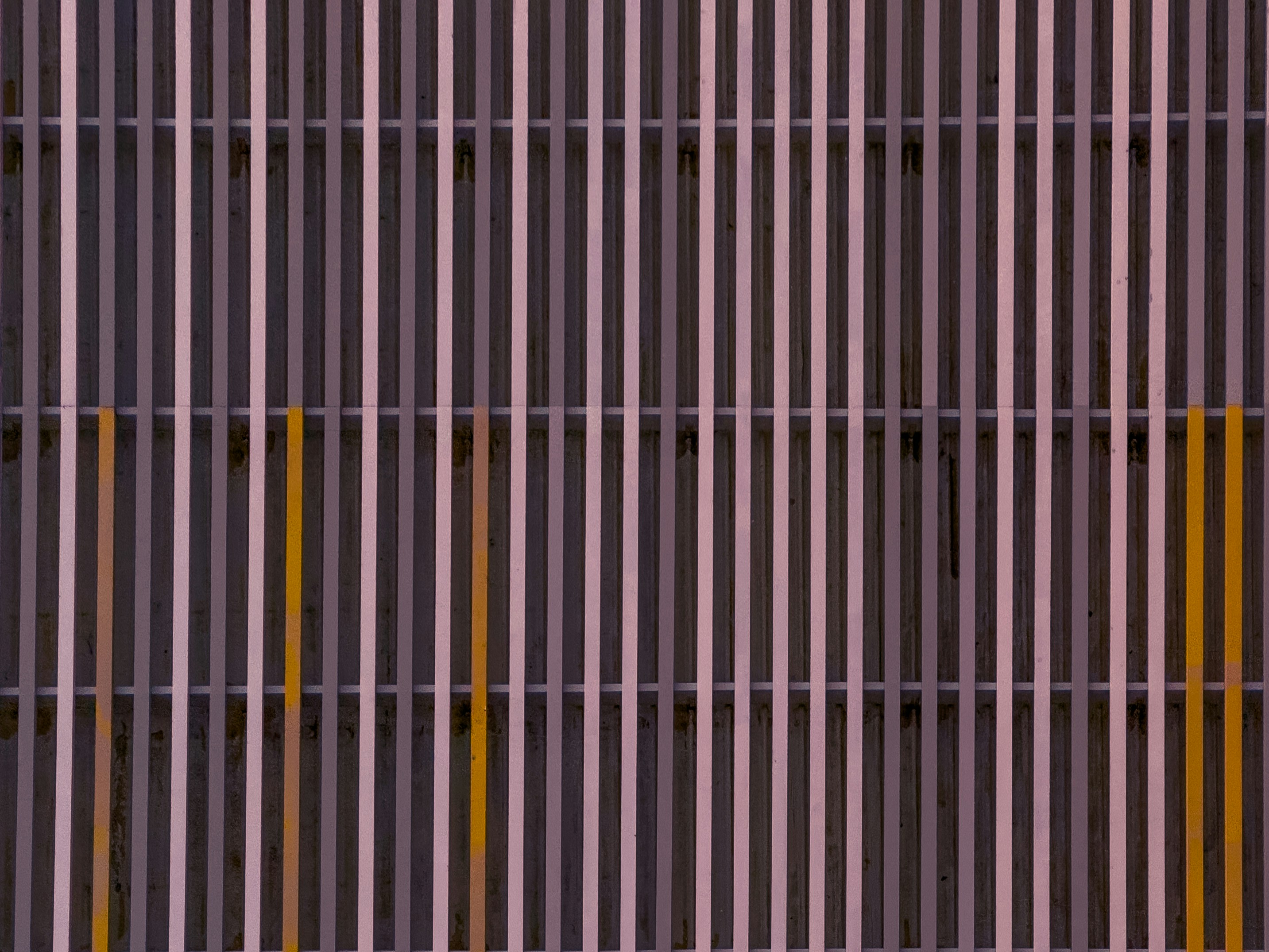 Photo by mrparalloid