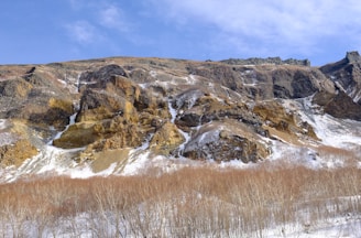 Wide shot of a slope before and after vegetation management by Frontier Vegetation Management