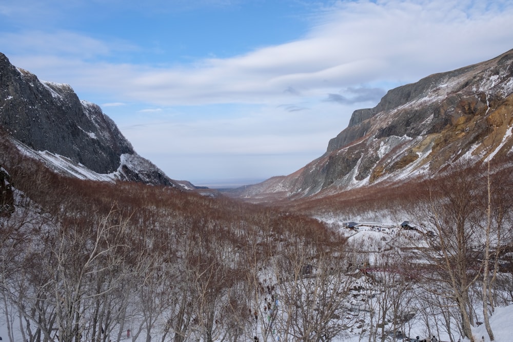 a snowy landscape with mountains in the background