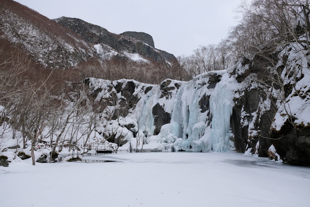 a frozen waterfall in the middle of a forest