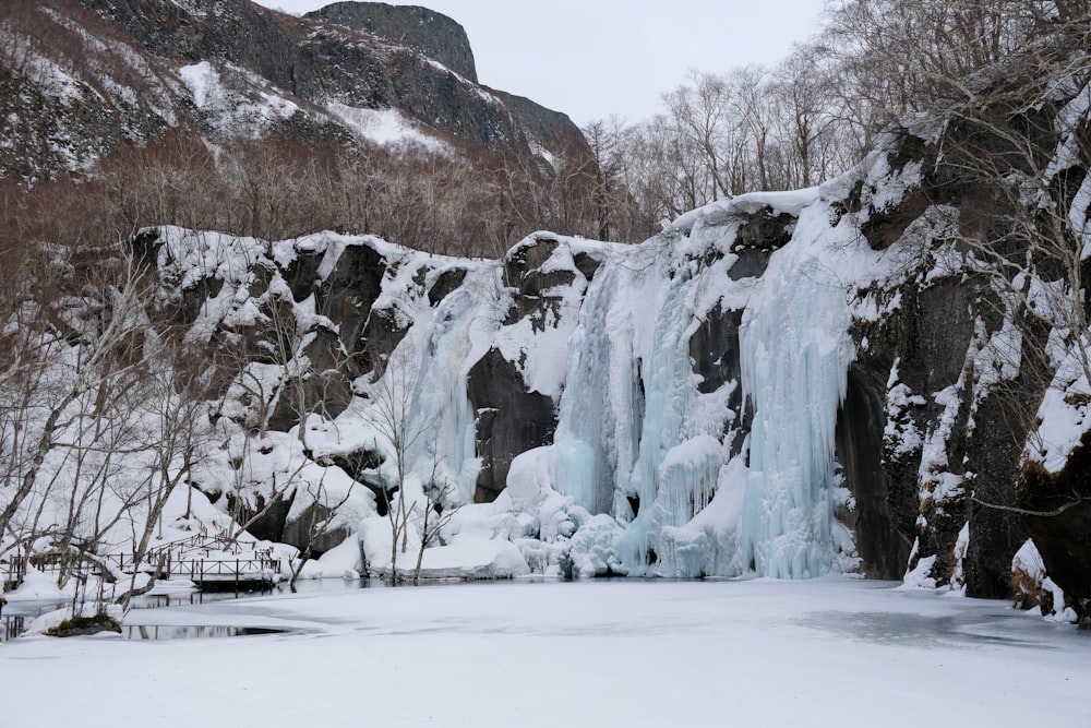 Una cascada congelada en medio de un bosque