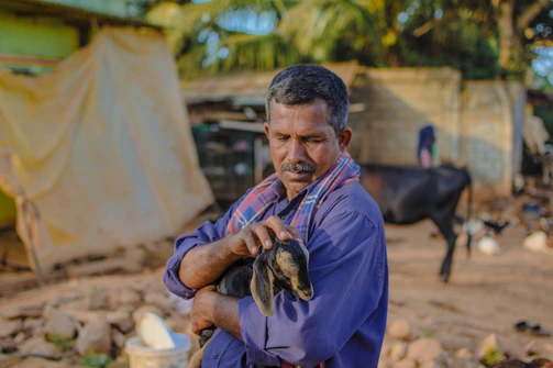 A friendly local farmer holding a healthy goat ready for qurban.