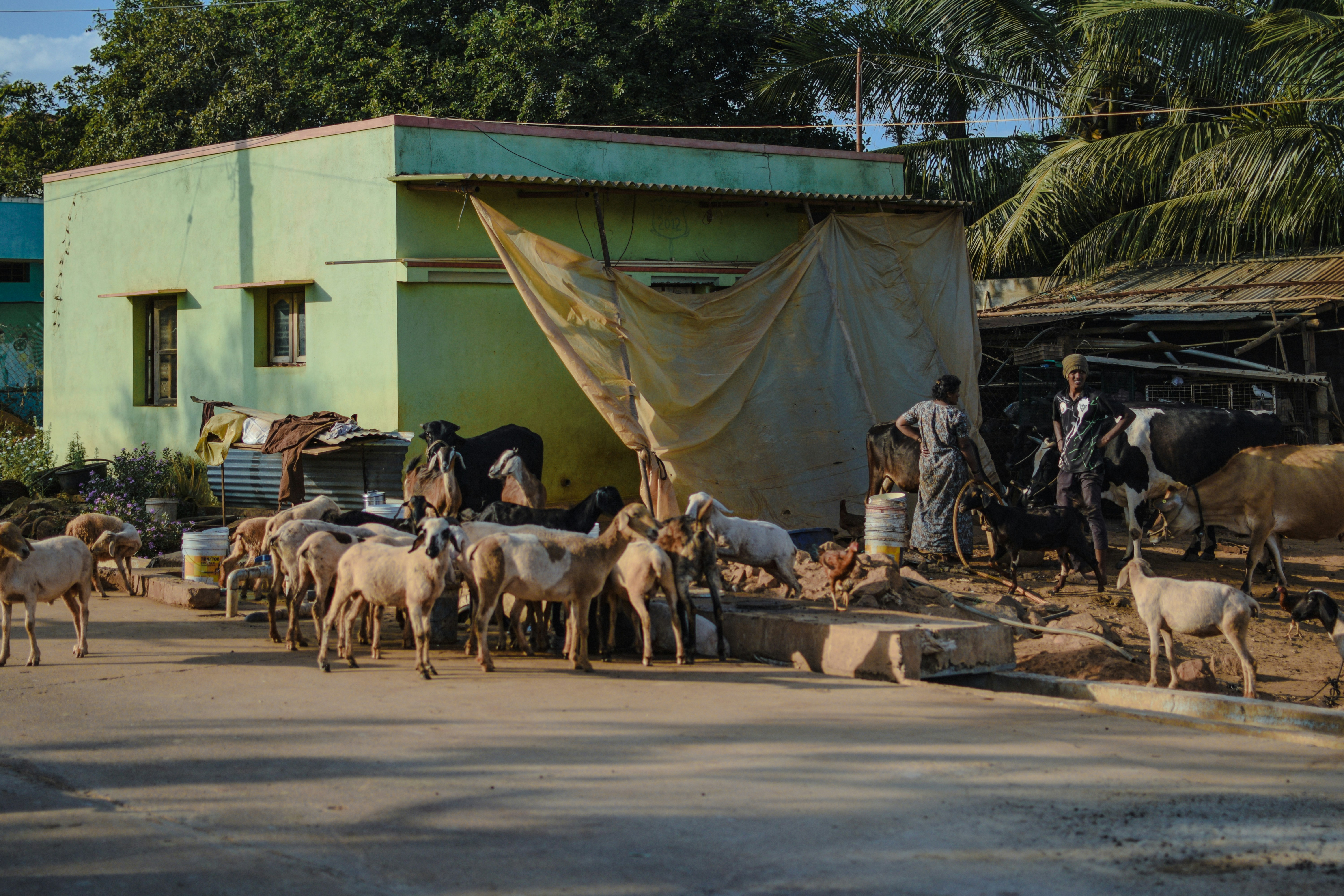 Photo by mohnishlandge