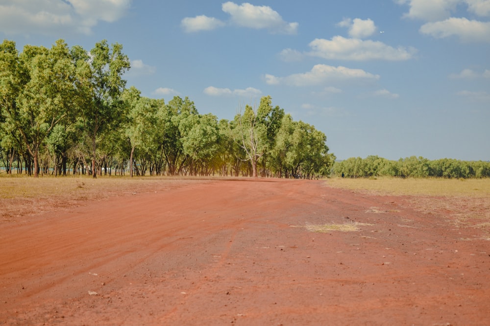 a dirt road surrounded by trees on a sunny day