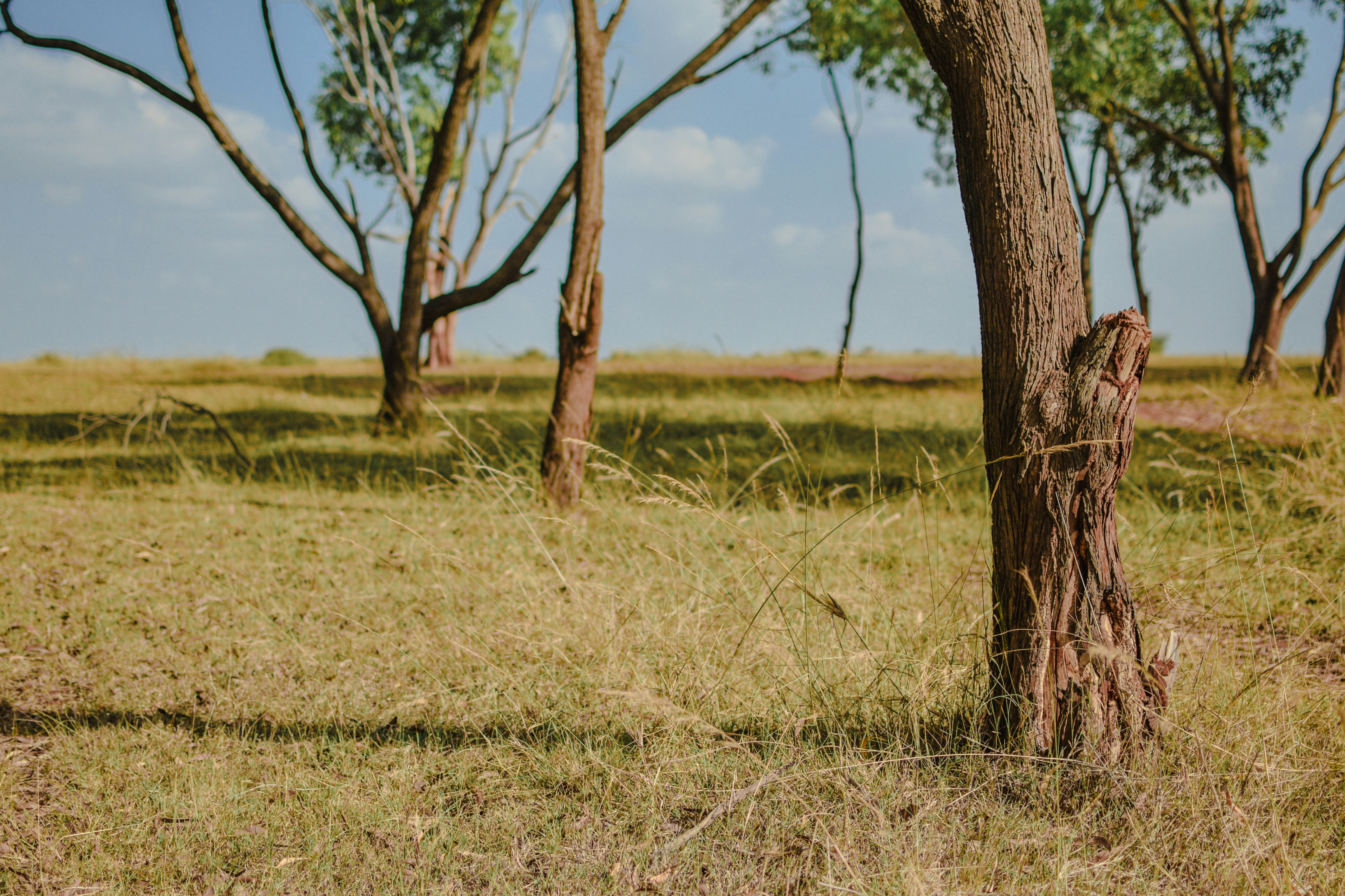 Photo by mohnishlandge