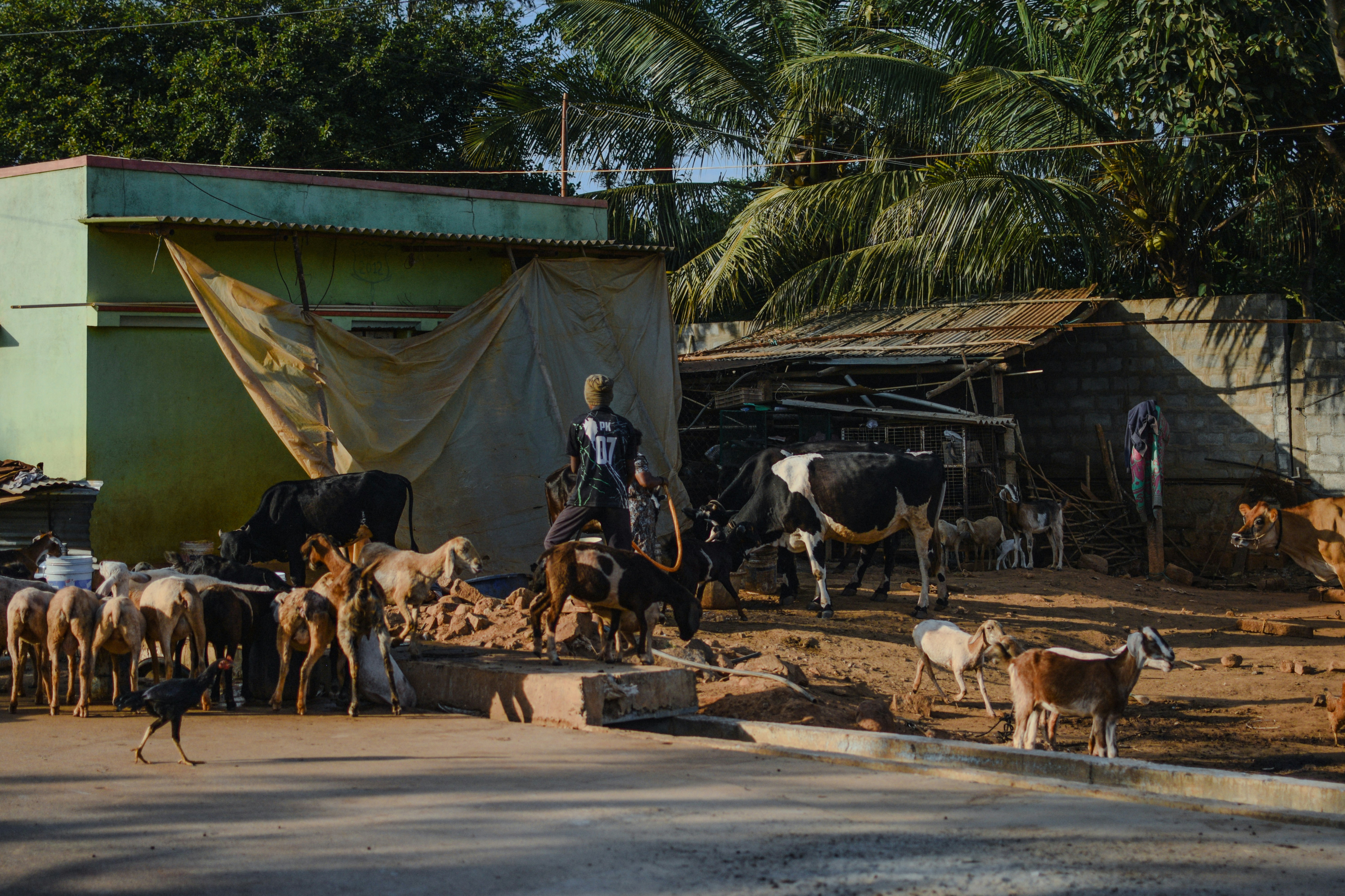 Photo by mohnishlandge