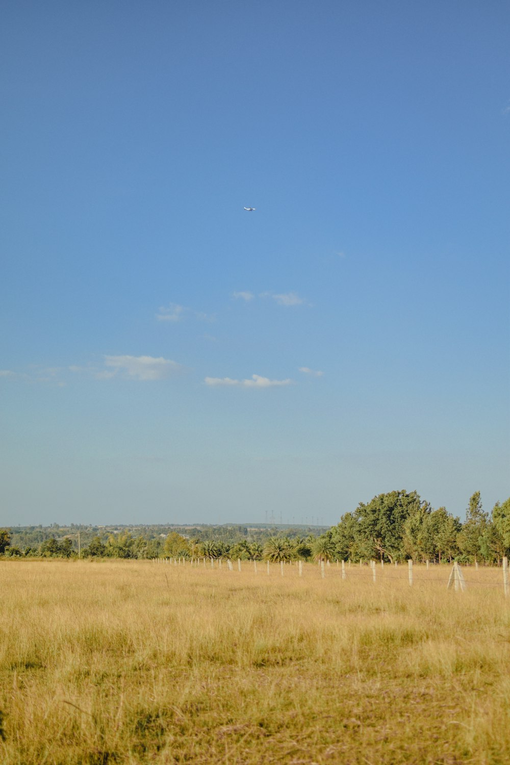a large open field with trees and a plane in the sky