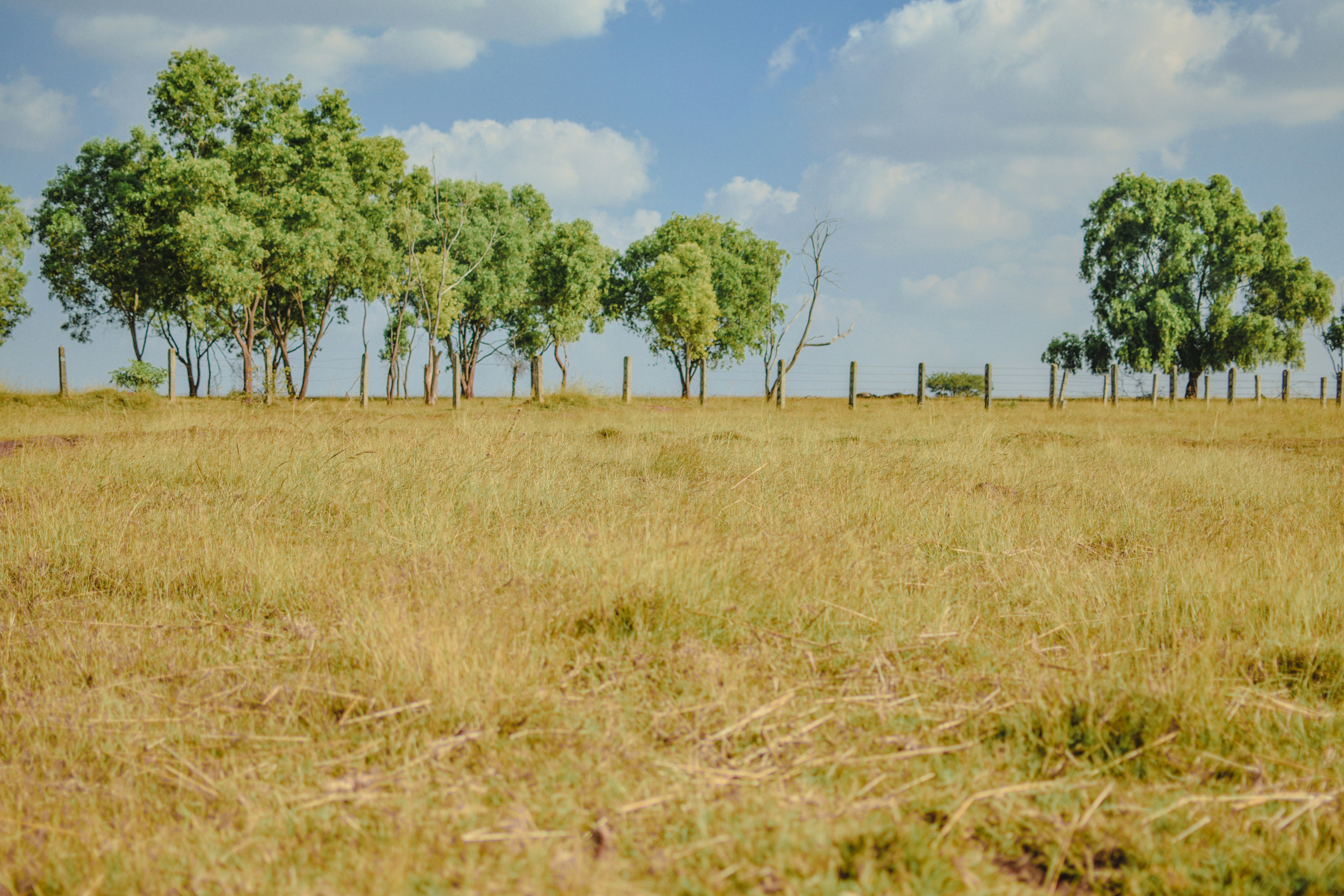 Photo by mohnishlandge