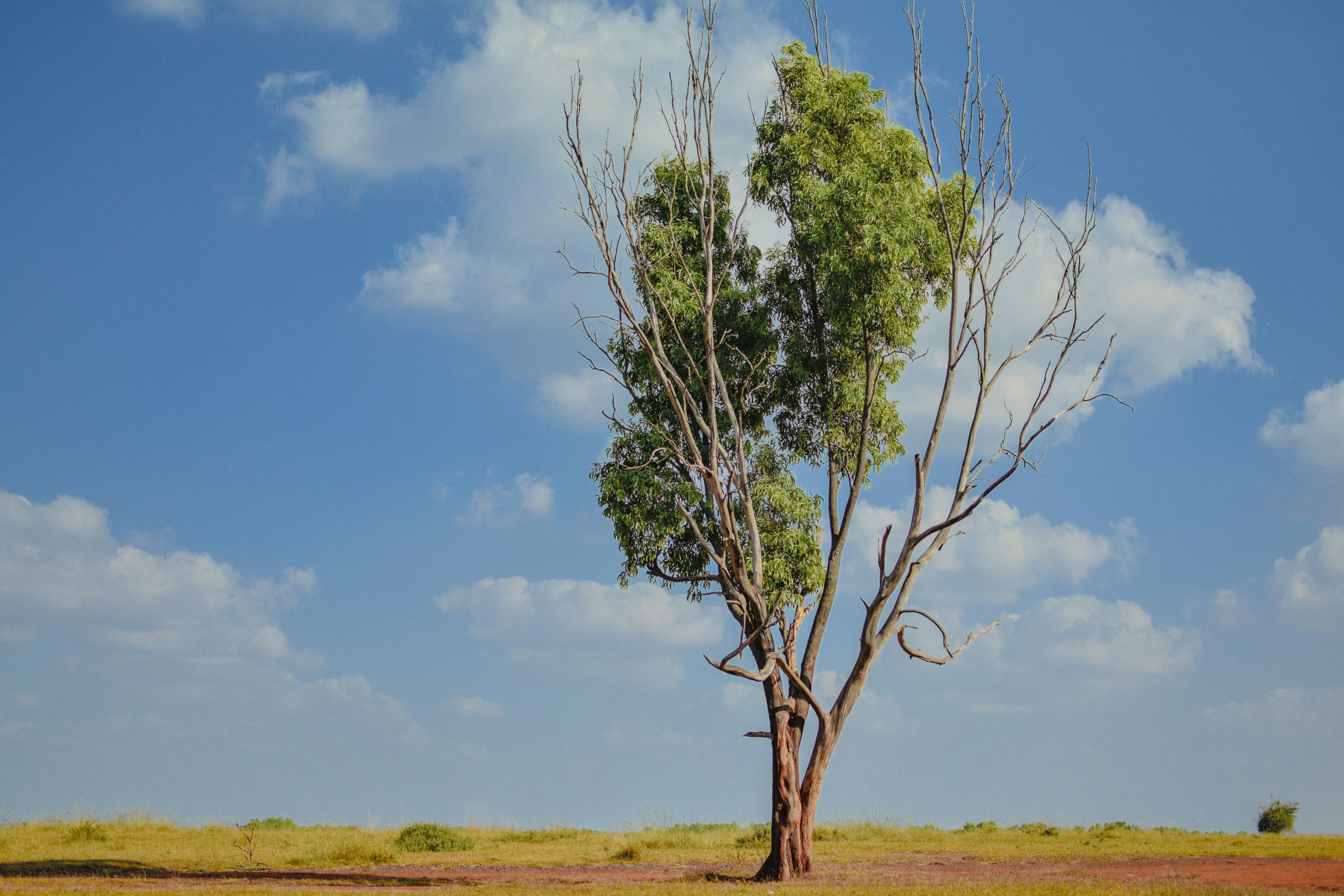 Photo by mohnishlandge