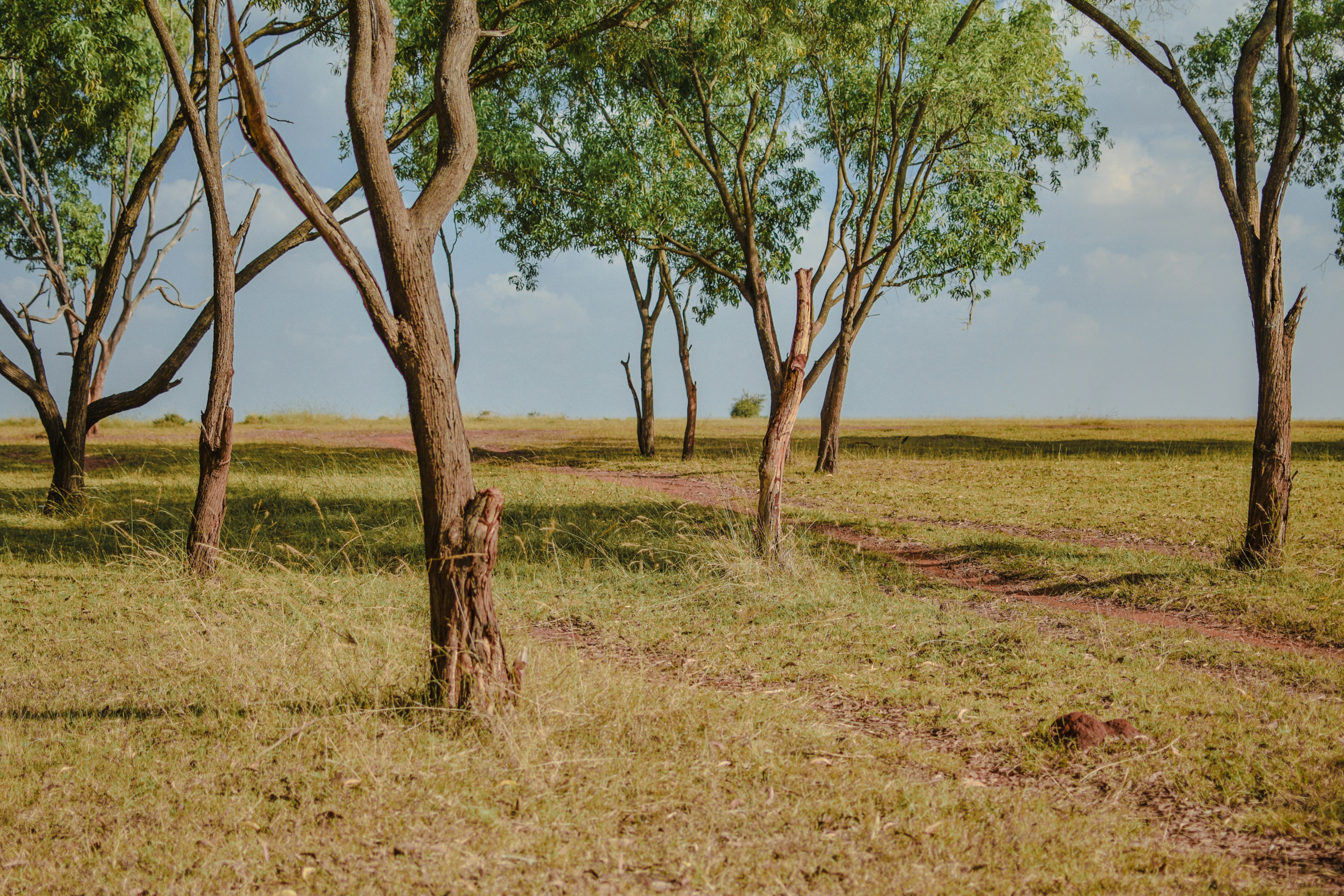 Photo by mohnishlandge