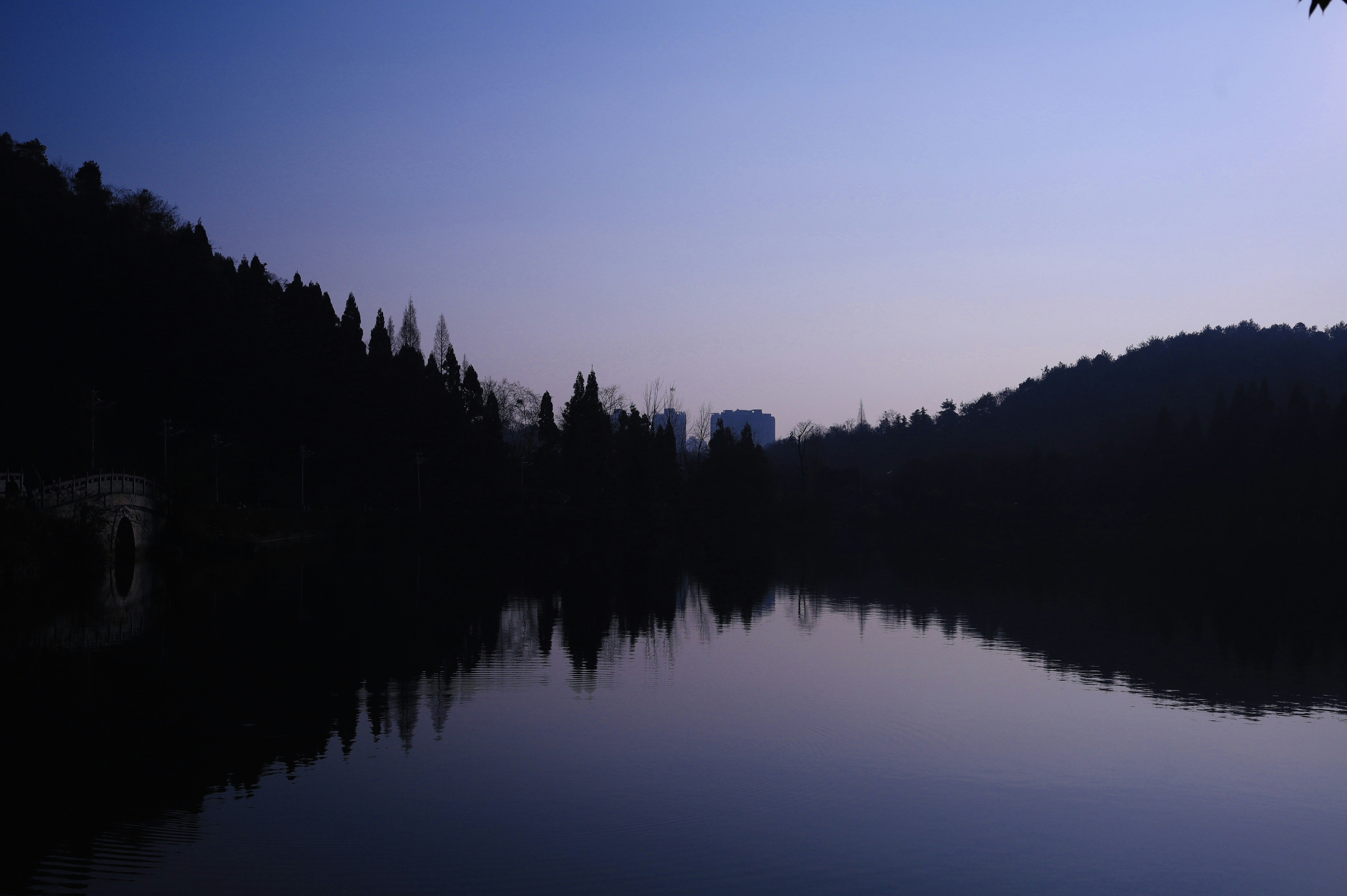 Photo by yokonoito0512