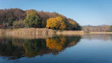 A serene nature scene featuring a calm lake surrounded by autumn trees.