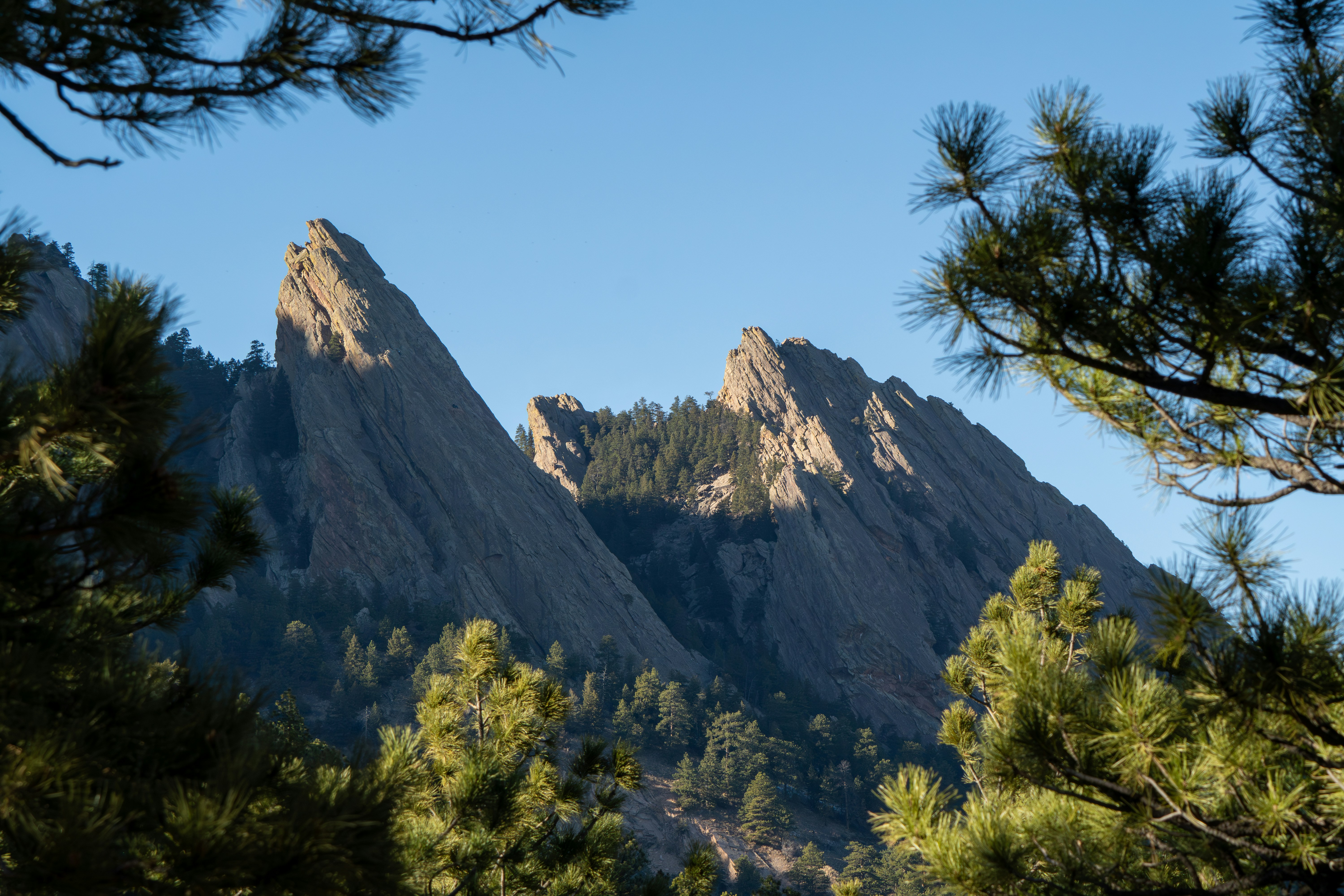 Photo by padraigoflannery