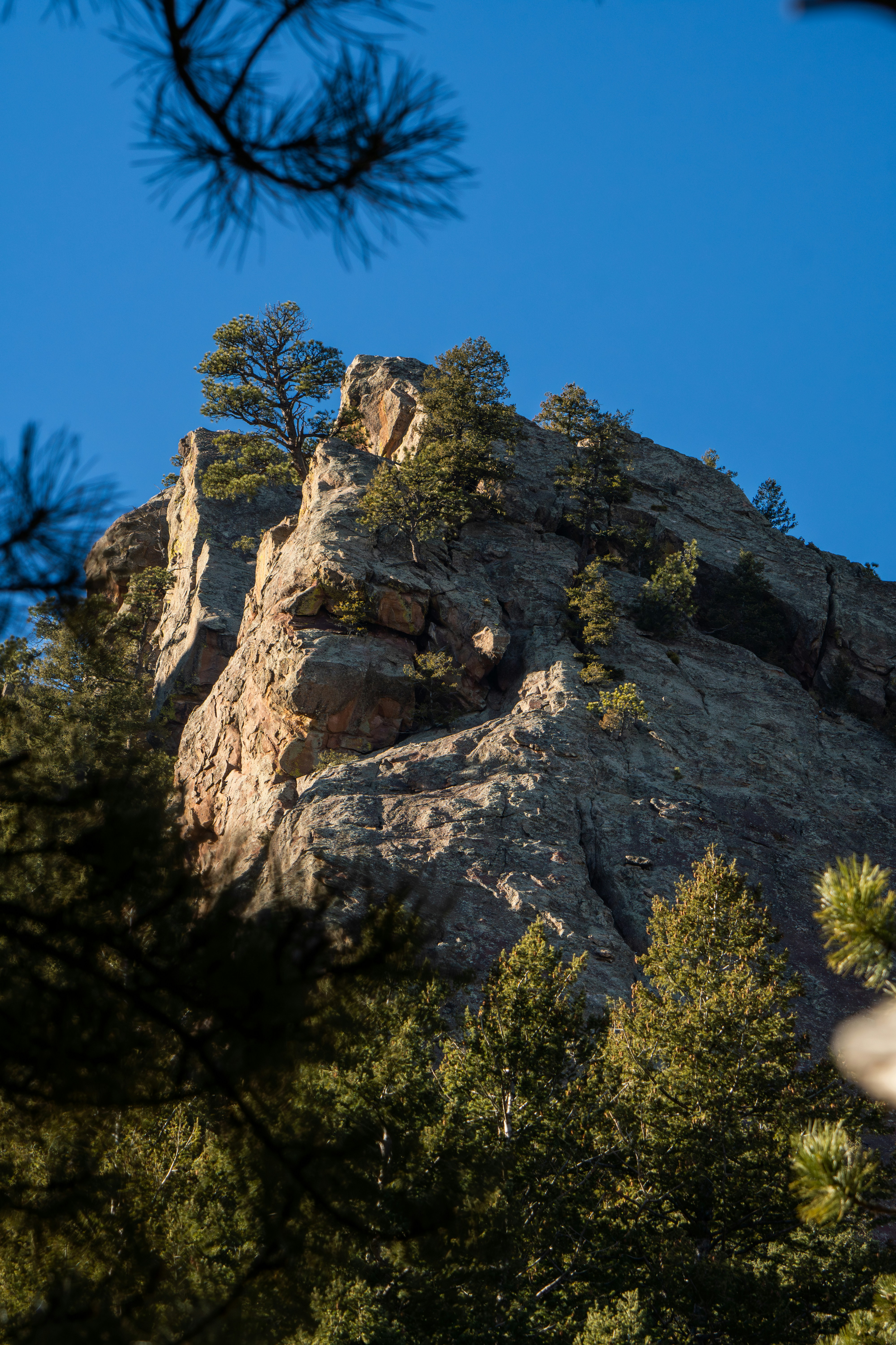 Photo by padraigoflannery