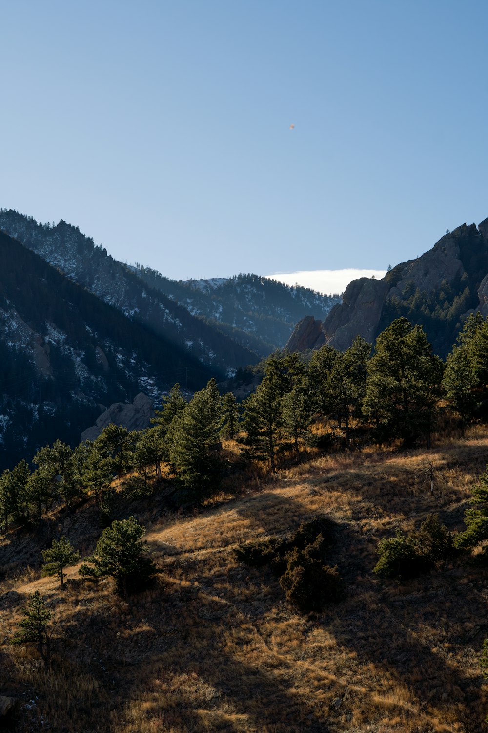 a view of a mountain range with trees on the side