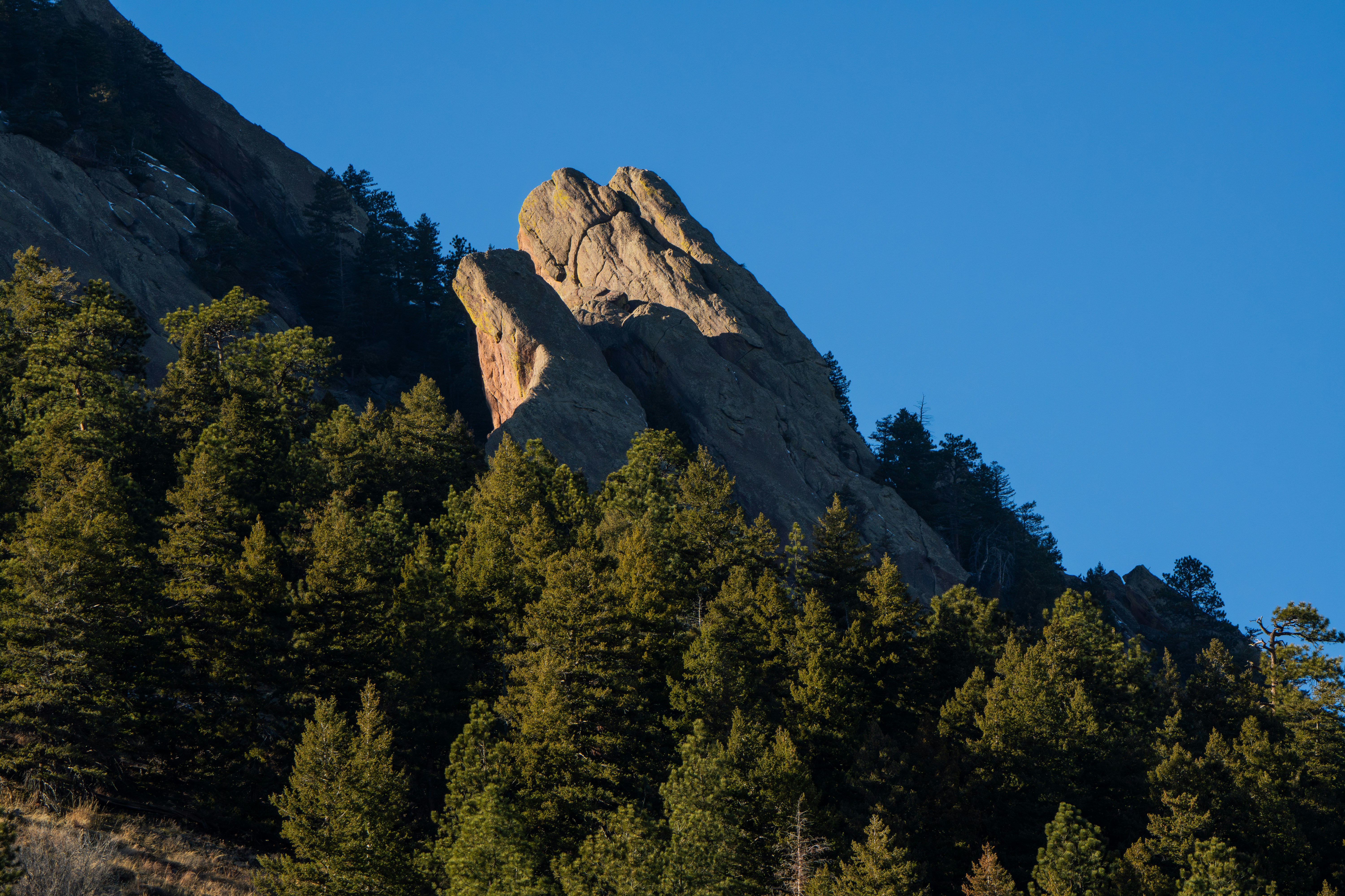 Photo by padraigoflannery