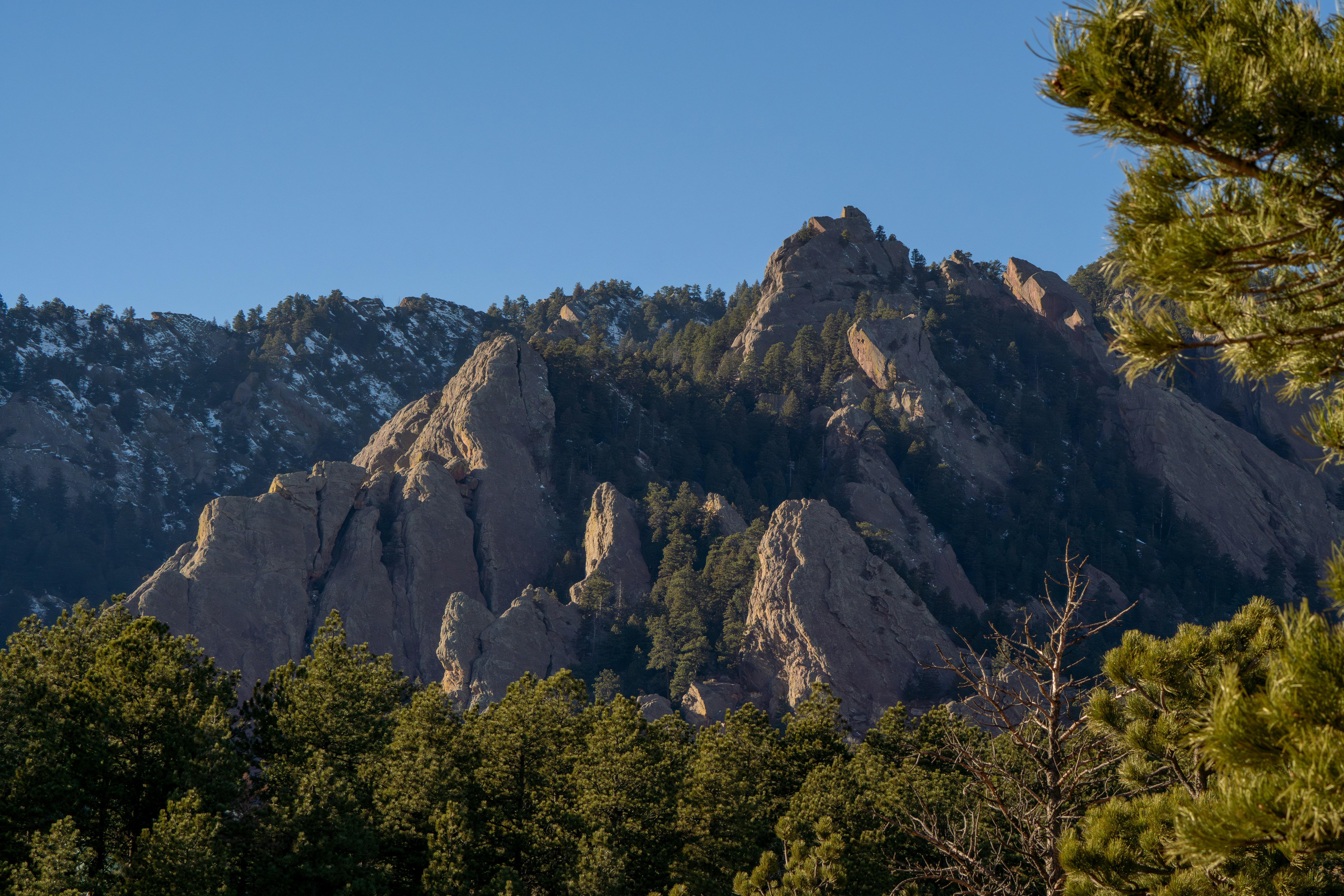 Photo by padraigoflannery