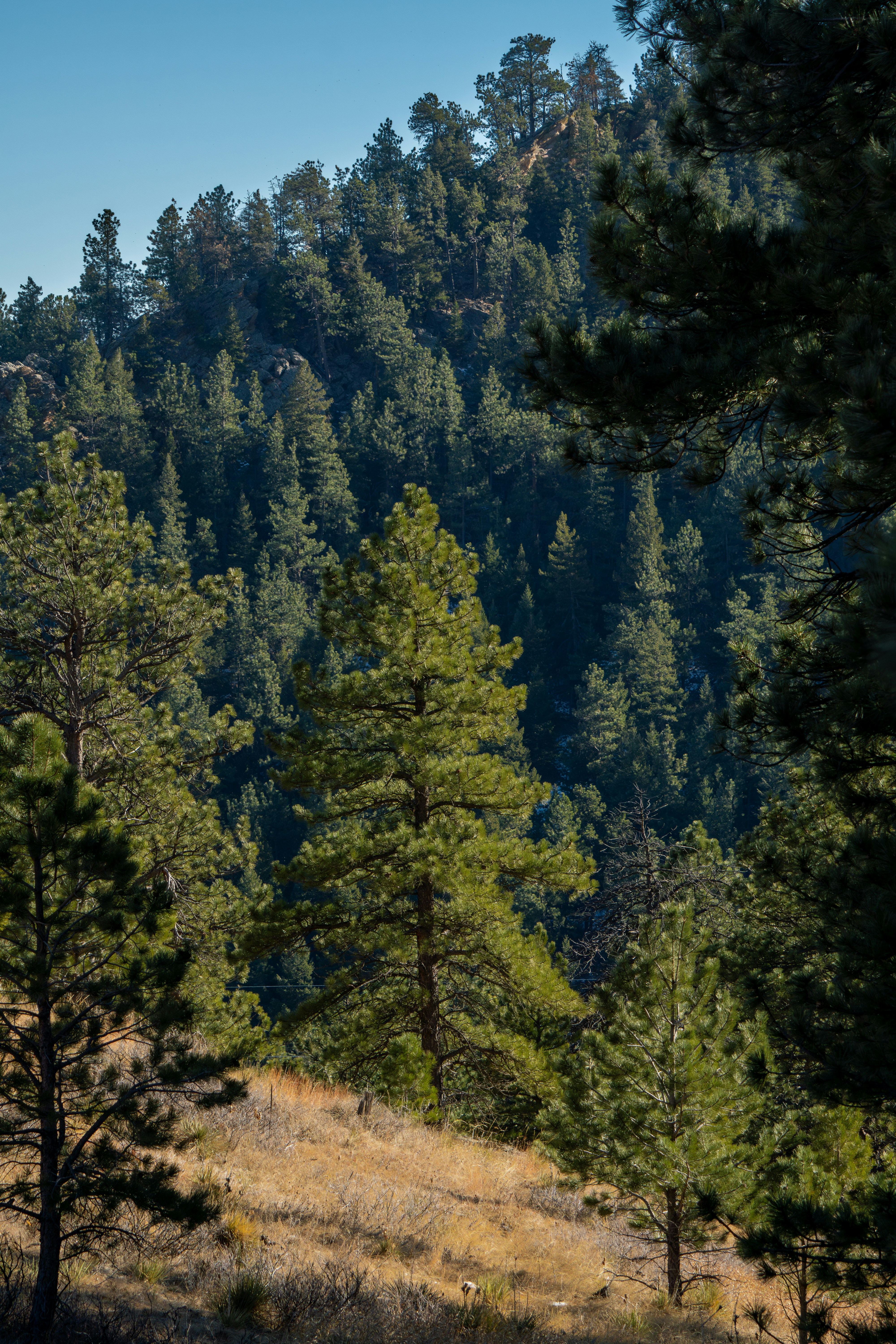 Photo by padraigoflannery