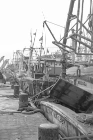 A row of fishing boats docked at a pier, with intricate rigging and multiple ropes visible. The scene captures the nautical architecture and craftsmanship of these vessels. Various fishing equipment and supplies are scattered around, indicating active use.