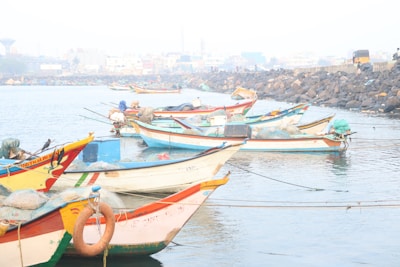 Colorful fishing boats anchored in a calm bay.