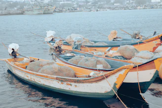Local fishing boats docked in calm waters of Belitung at dawn.
