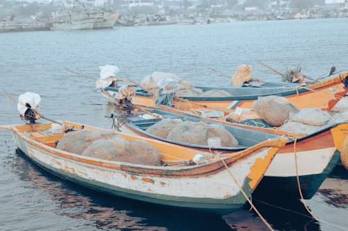 Several fishing boats are docked in calm waters, filled with fishing nets and equipment. The boats appear worn, with chipped paint and visible signs of use. In the background, a hazy shoreline with buildings and other distant boats is visible.