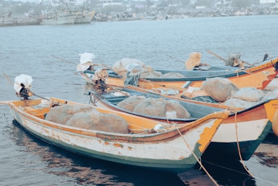 Several fishing boats are docked in calm waters, filled with fishing nets and equipment. The boats appear worn, with chipped paint and visible signs of use. In the background, a hazy shoreline with buildings and other distant boats is visible.