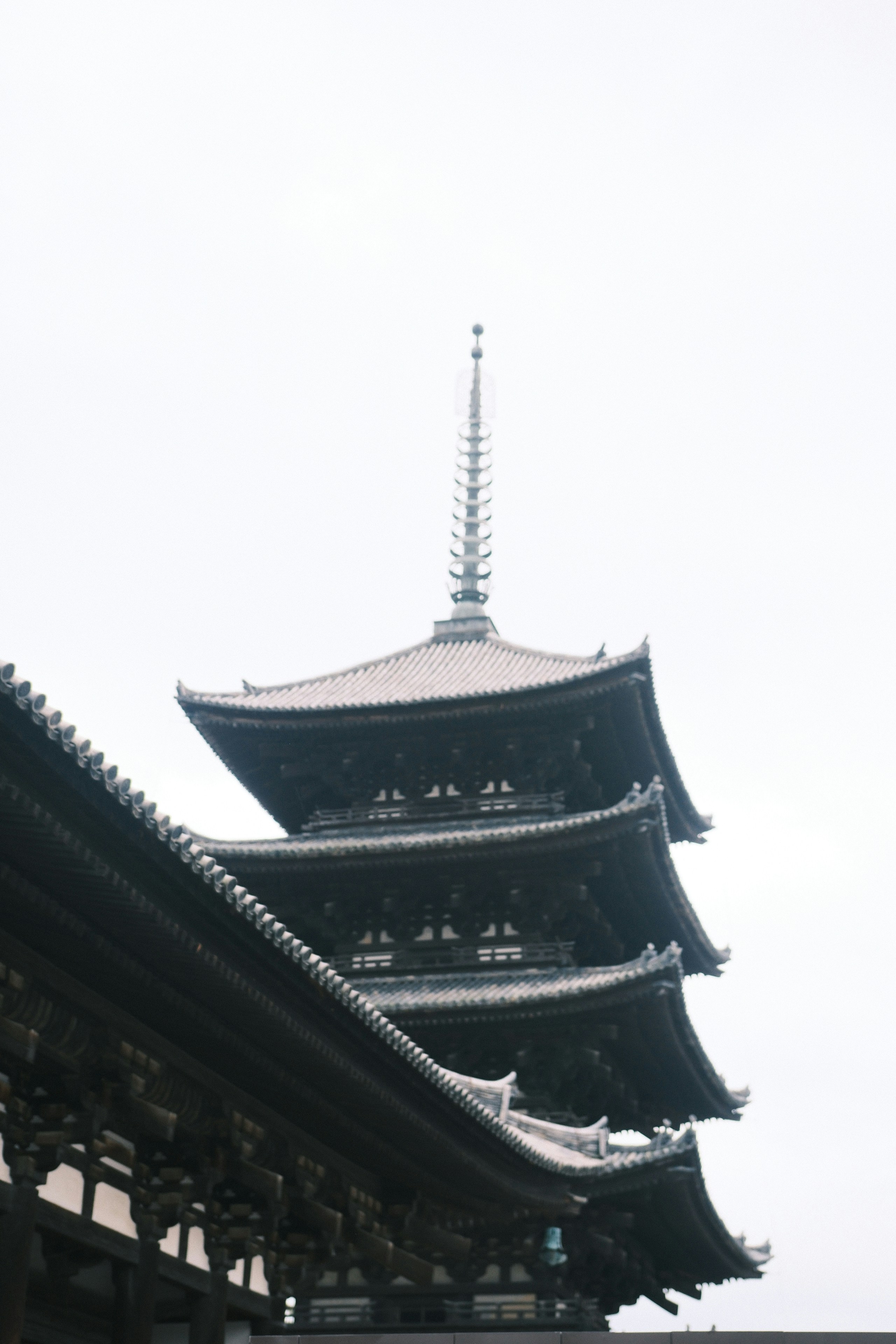 Photo by yokonoito0512