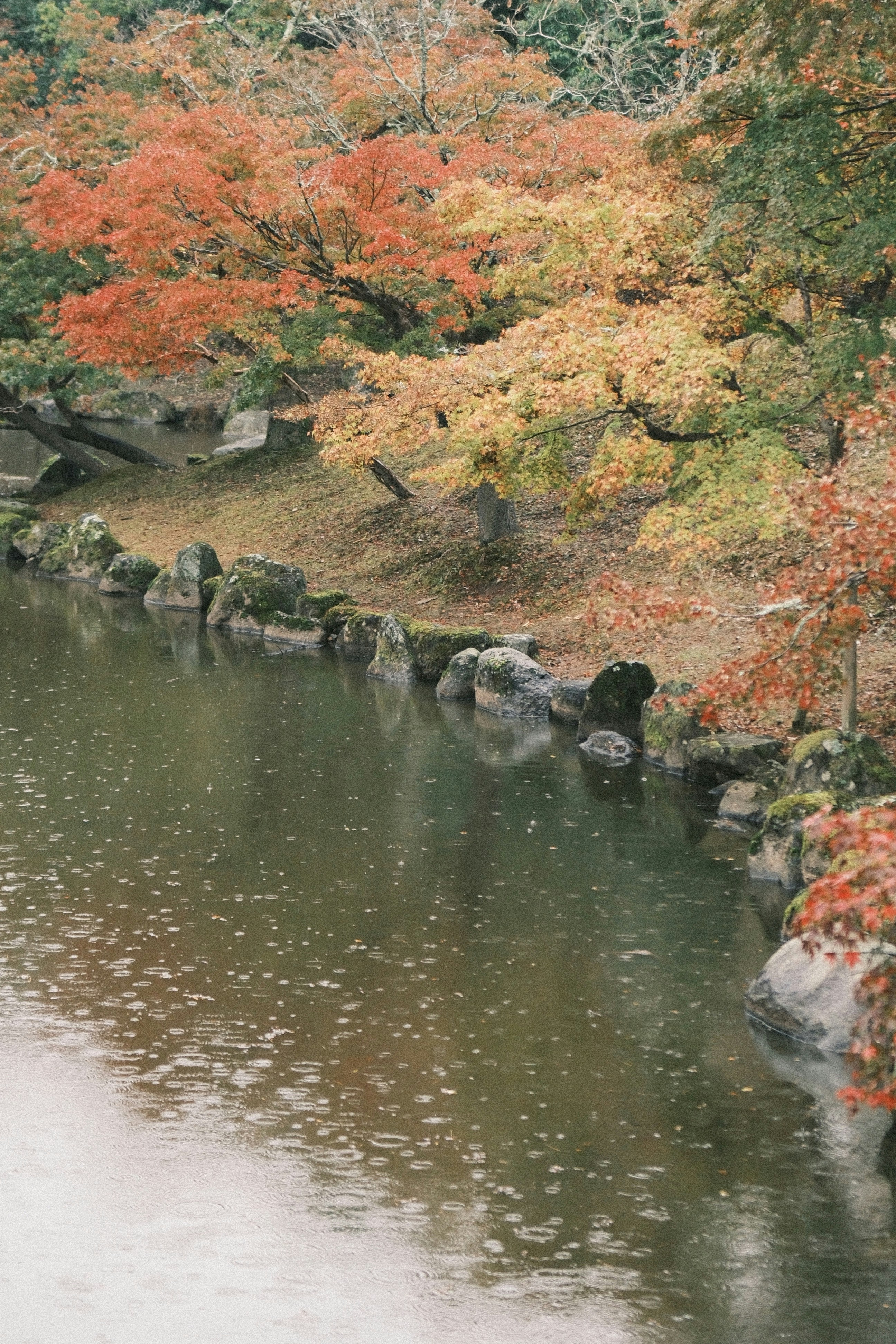 Photo by yokonoito0512