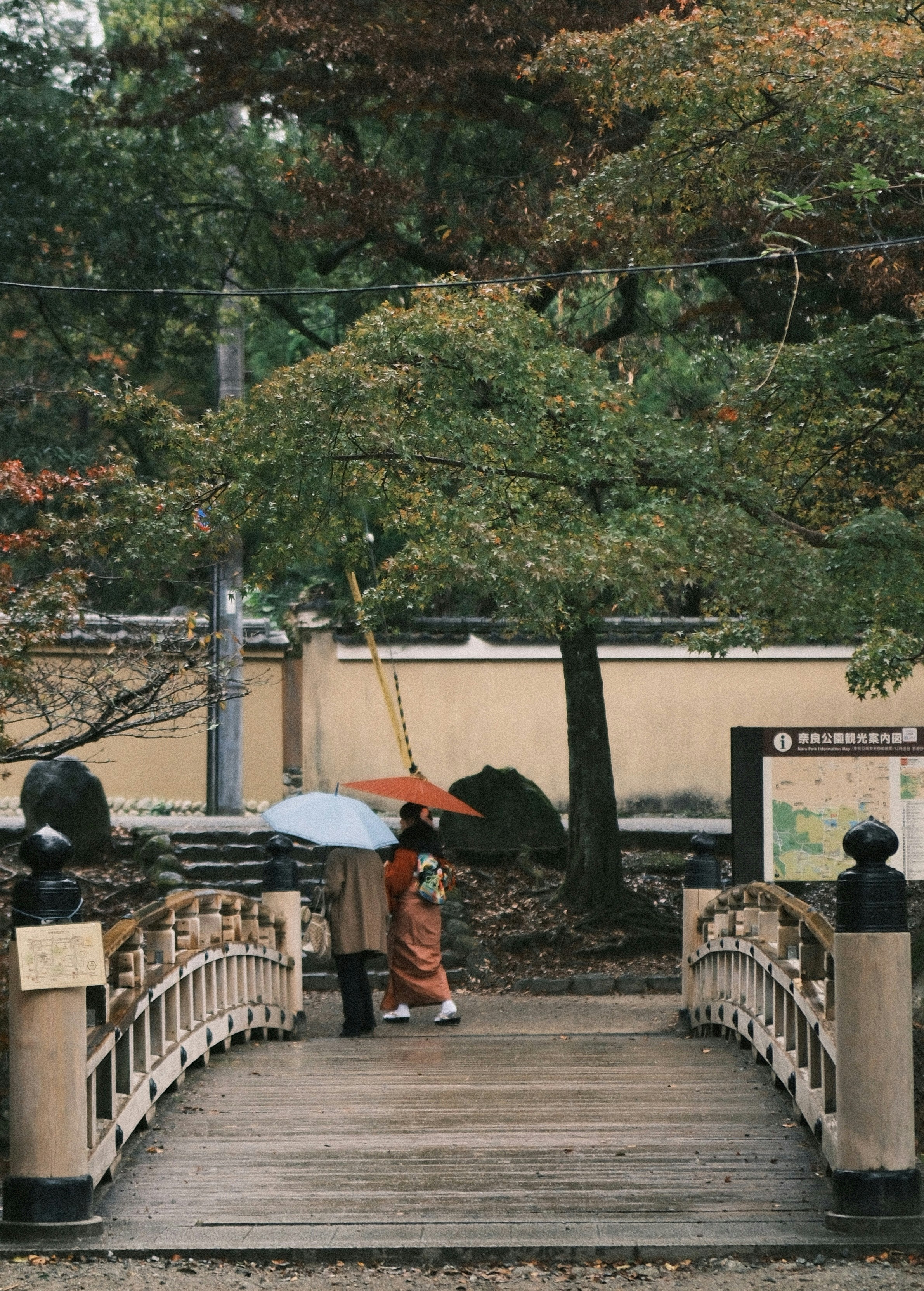 Photo by yokonoito0512