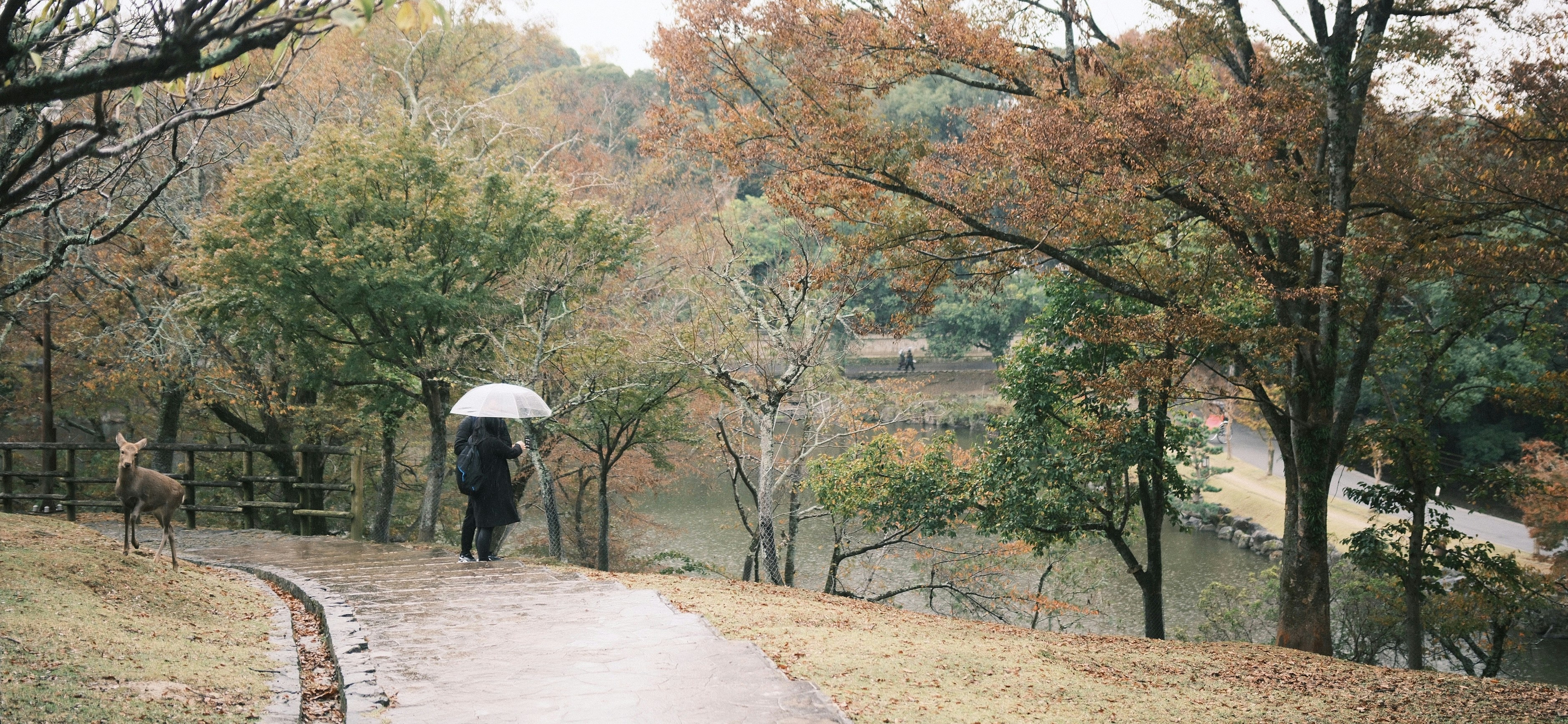 a person walking down a path with an umbrella
