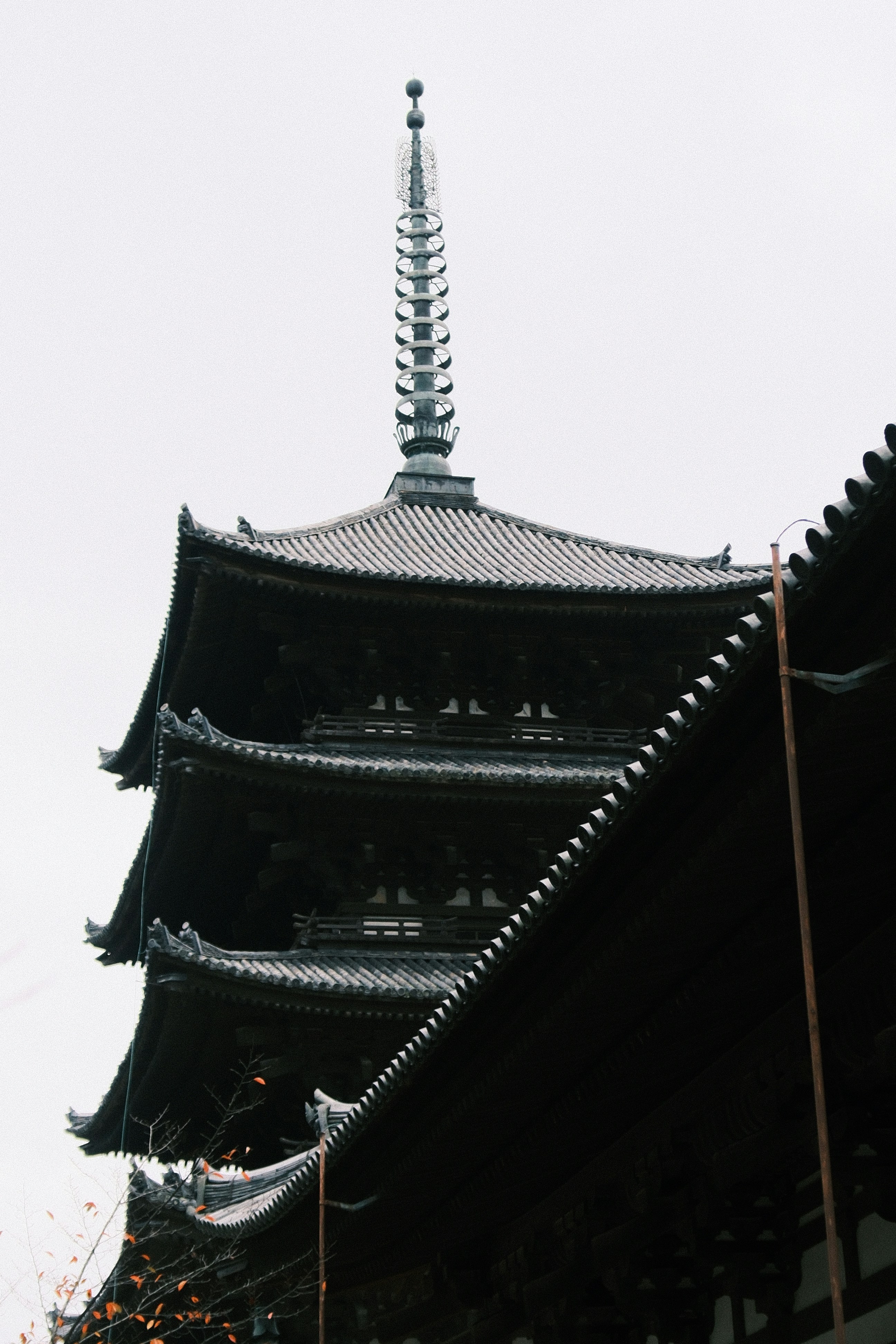 Photo by yokonoito0512