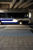 A blue and white bus is moving across a pedestrian crossing under a concrete overpass. The crosswalk is prominently visible in the foreground, and sunlight casts shadows on the scene. The structure above consists of large concrete beams, adding an urban, industrial feel.