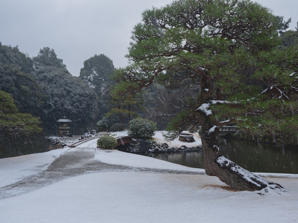 a snow covered path leading to a small pond