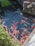 A pond filled with colorful koi fish swimming gracefully. The water is clear and reflects the vibrant hues of the fish. Surrounding the pond are large stones and lush greenery, contributing to a tranquil and natural setting.