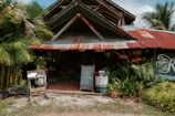 A rustic, tropical-themed building with a corrugated metal roof and wooden structure. The entrance is flanked with lush green plants, and there are signboards displaying the menu and the name of the establishment. The building appears to be a casual dining or cafe setup, with seating visible inside.
