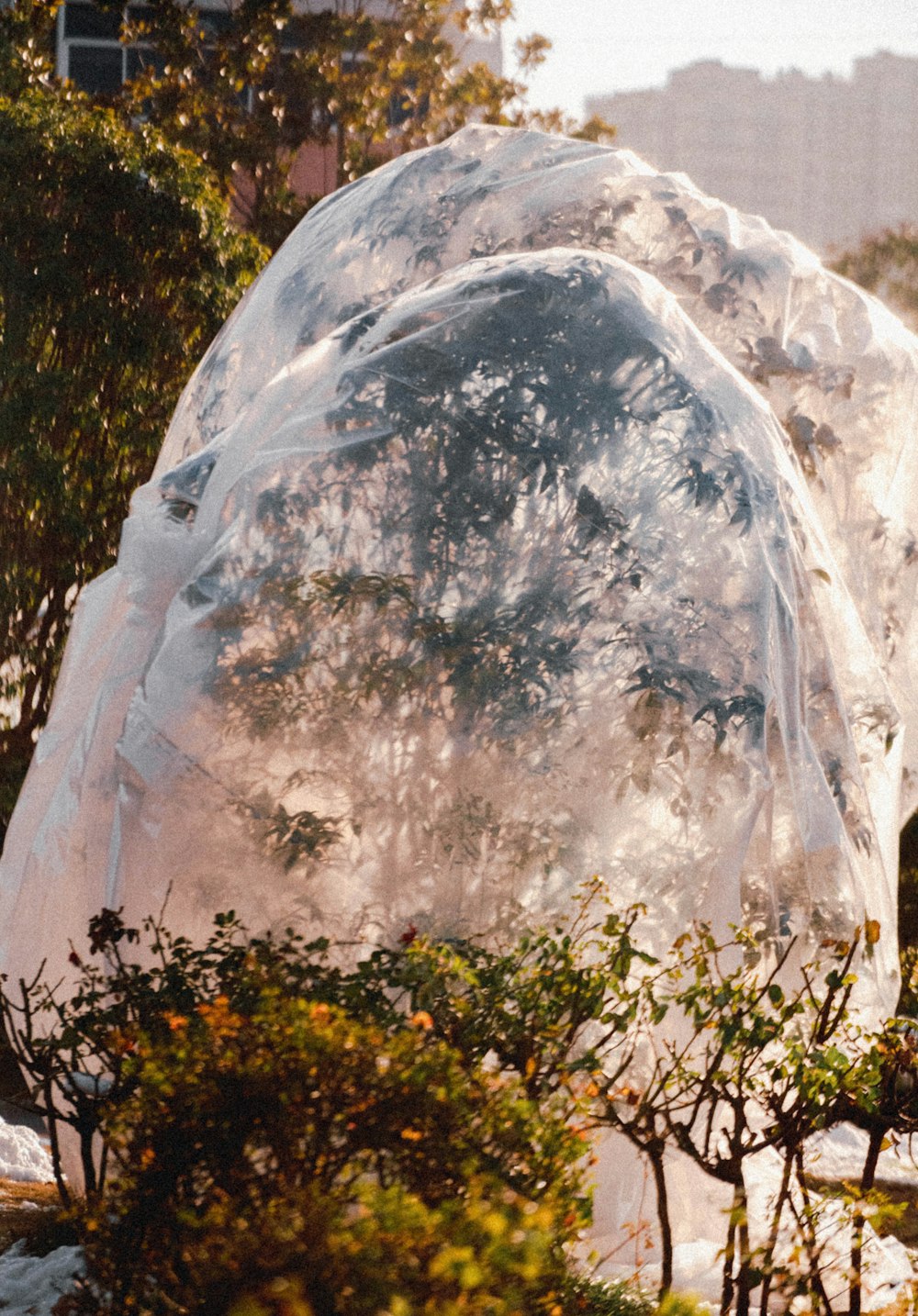 a large white object sitting in the middle of a park