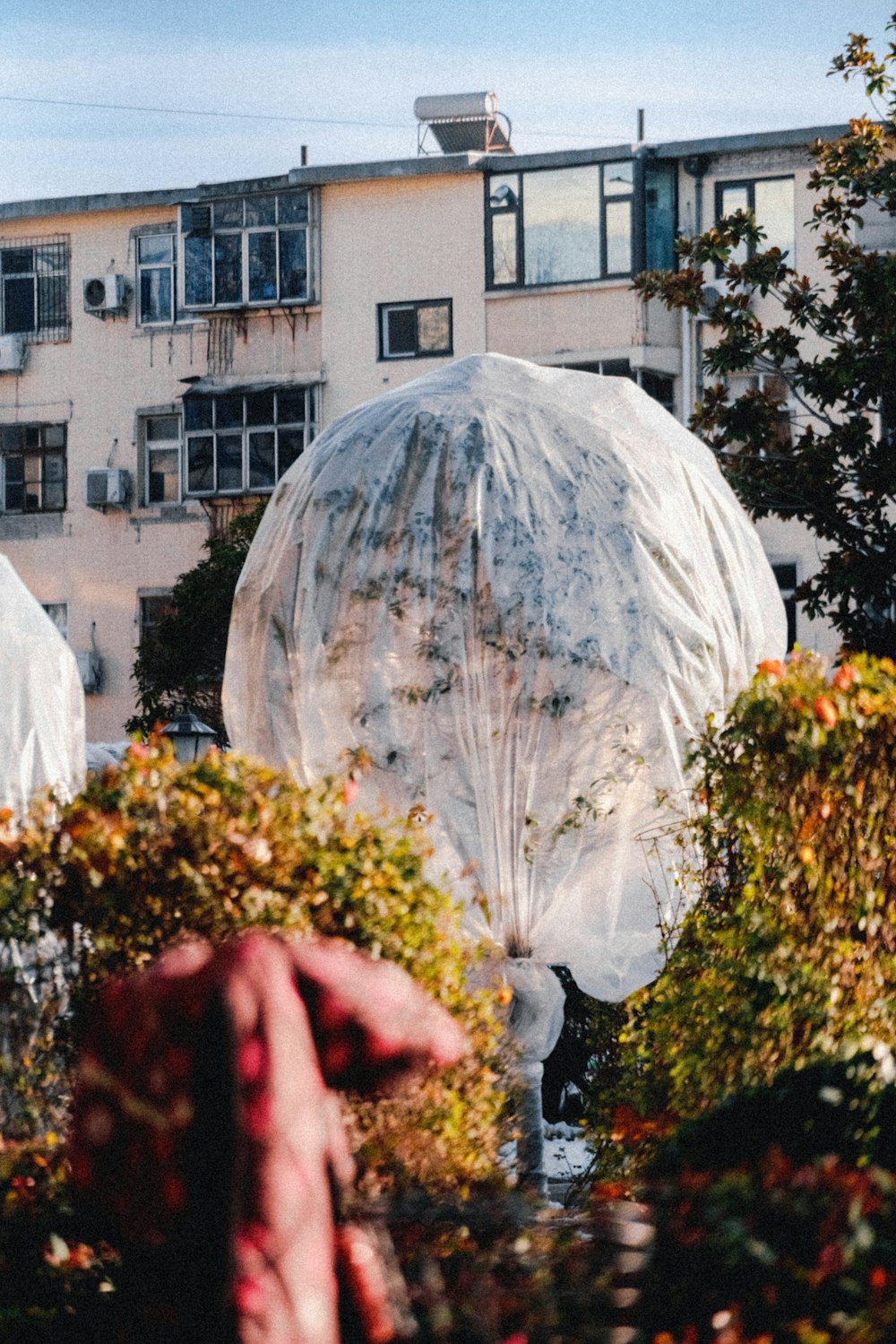 a couple of large white umbrellas sitting in the middle of a garden