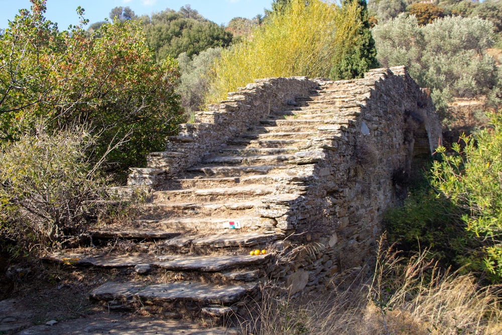 a set of stone steps leading up to a forest
