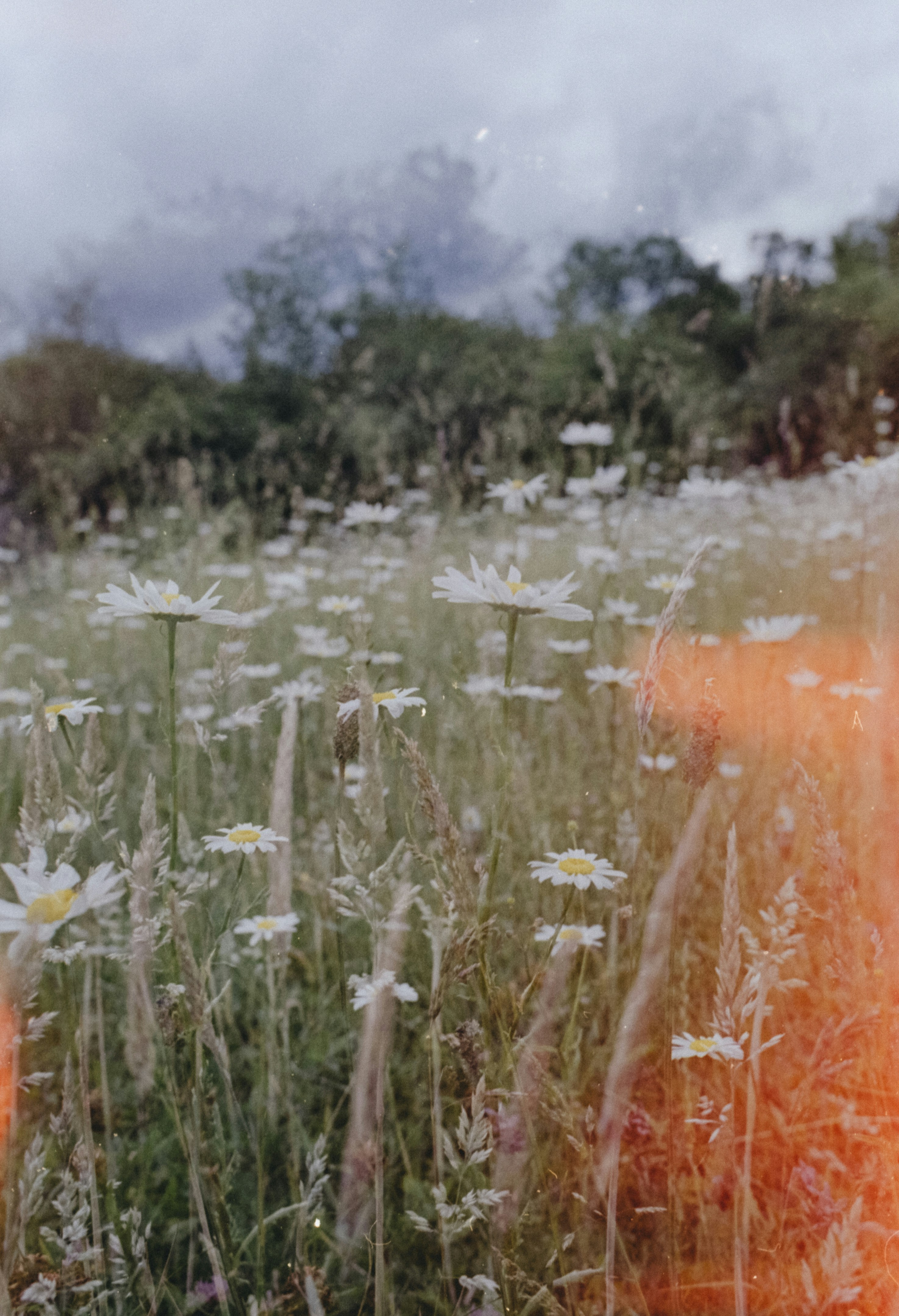 Photo by anniespratt