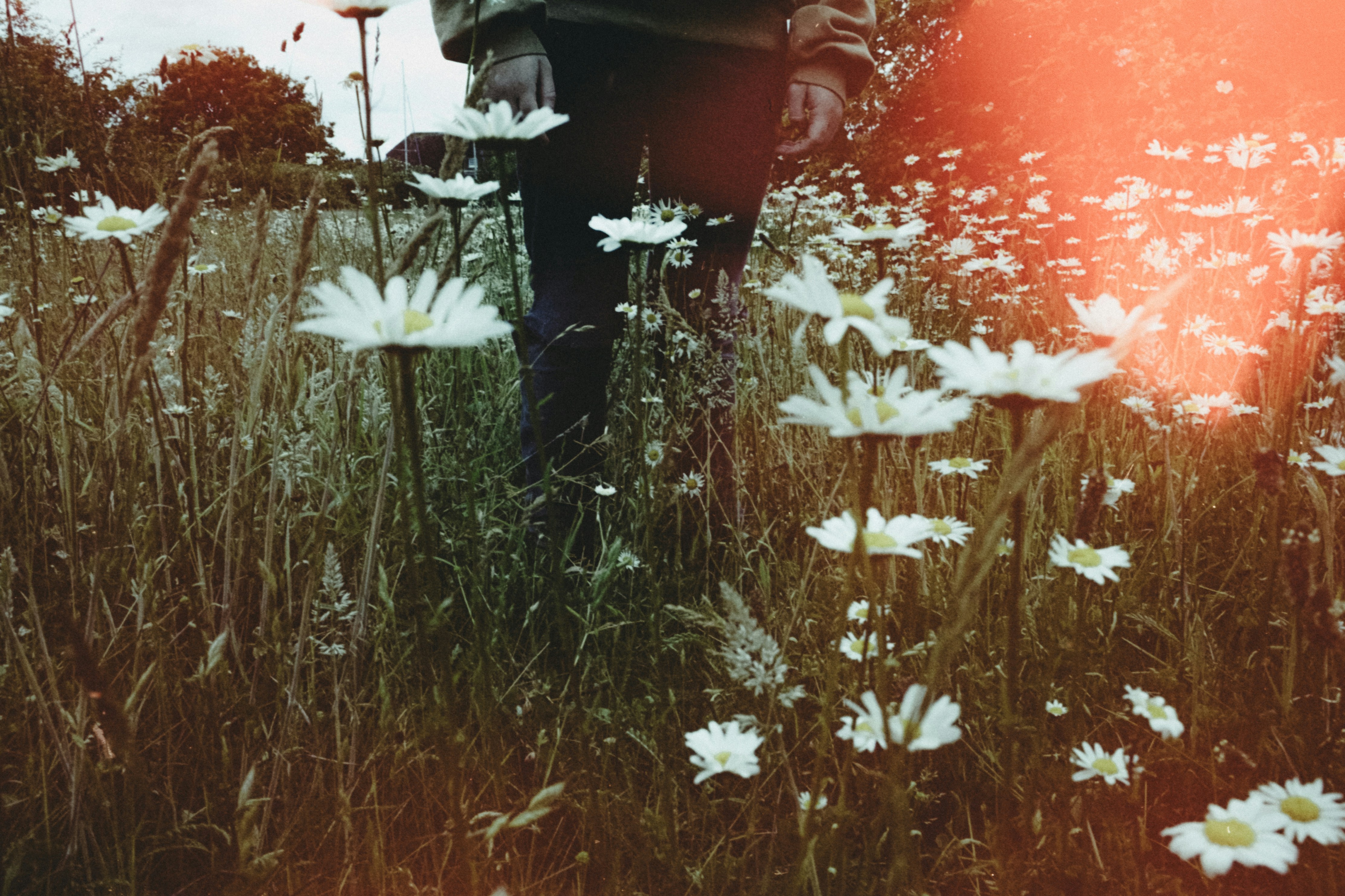 꽃밭에 서 있는 사람 사진 – Unsplash의 무료 영화 사진 이미지, image size:3000x2001