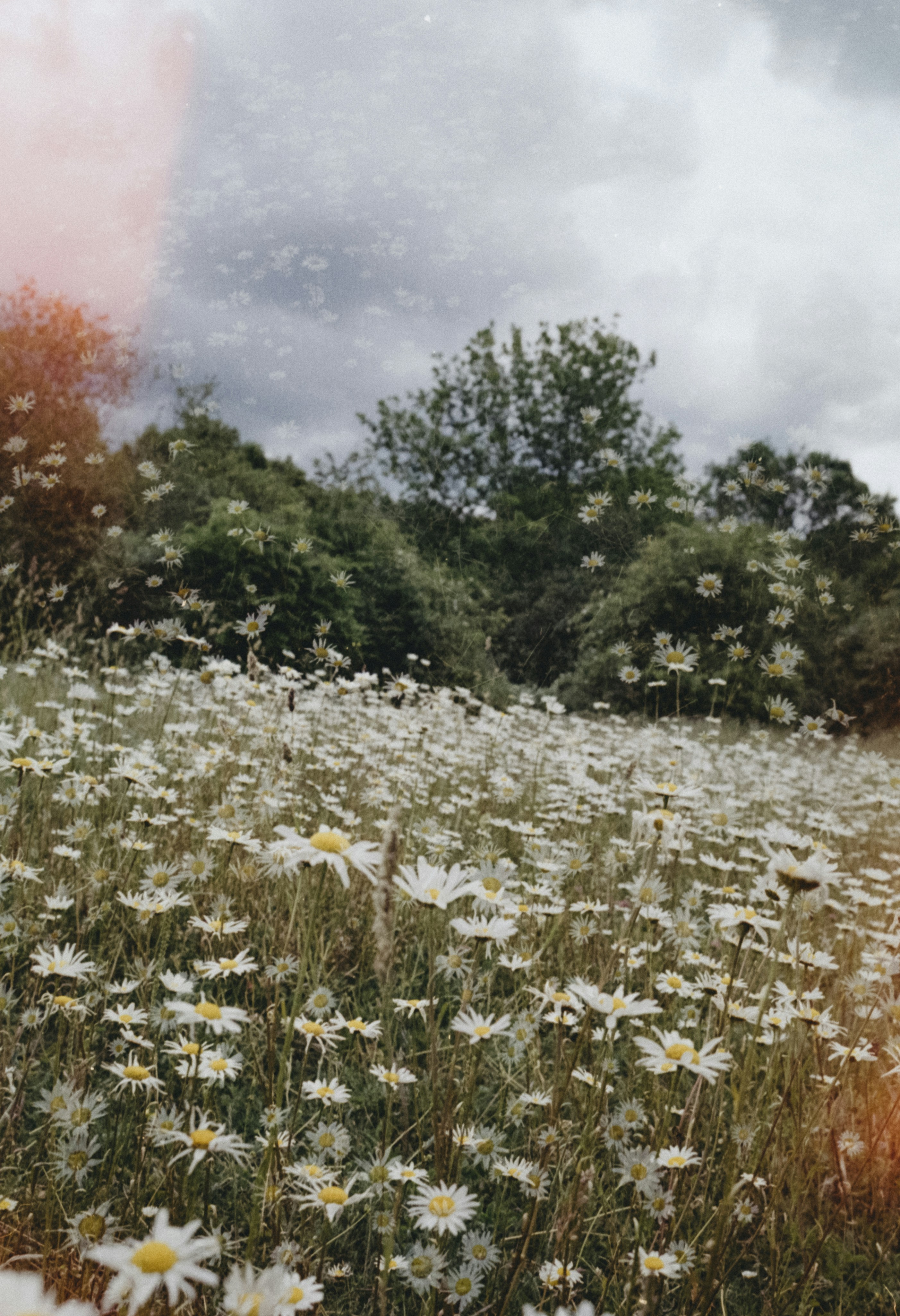 Photo by anniespratt