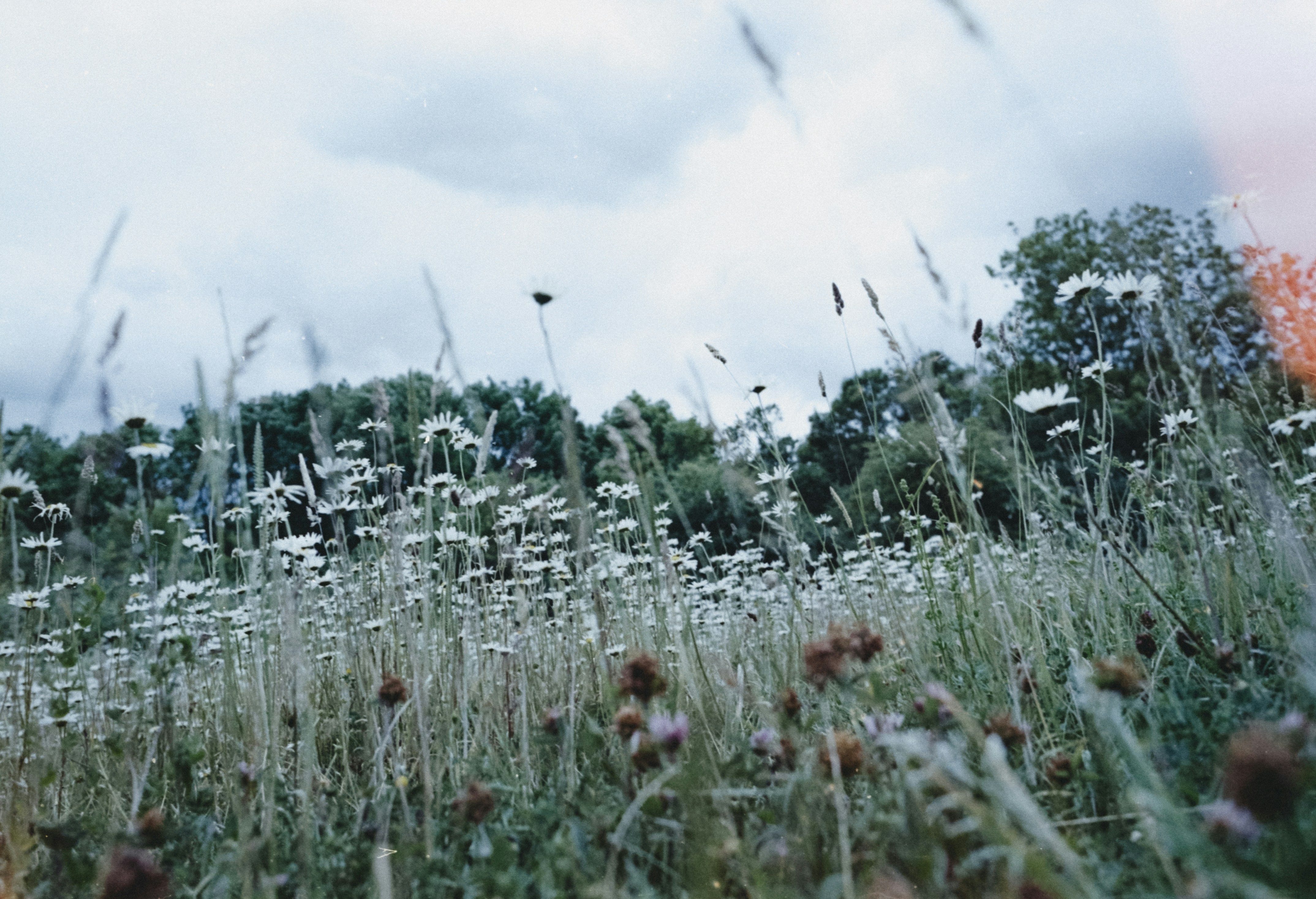 Photo by anniespratt