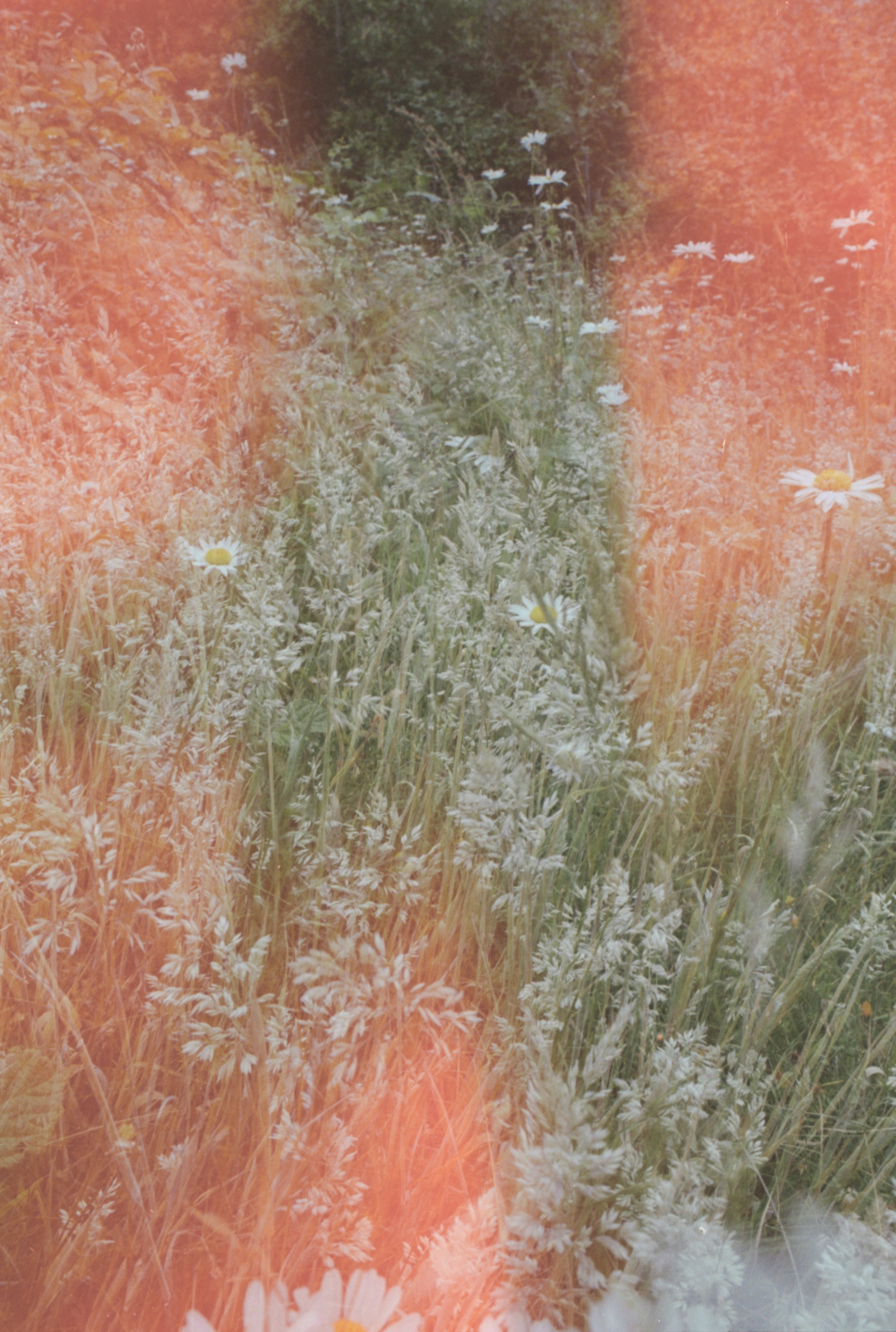 Photo by anniespratt