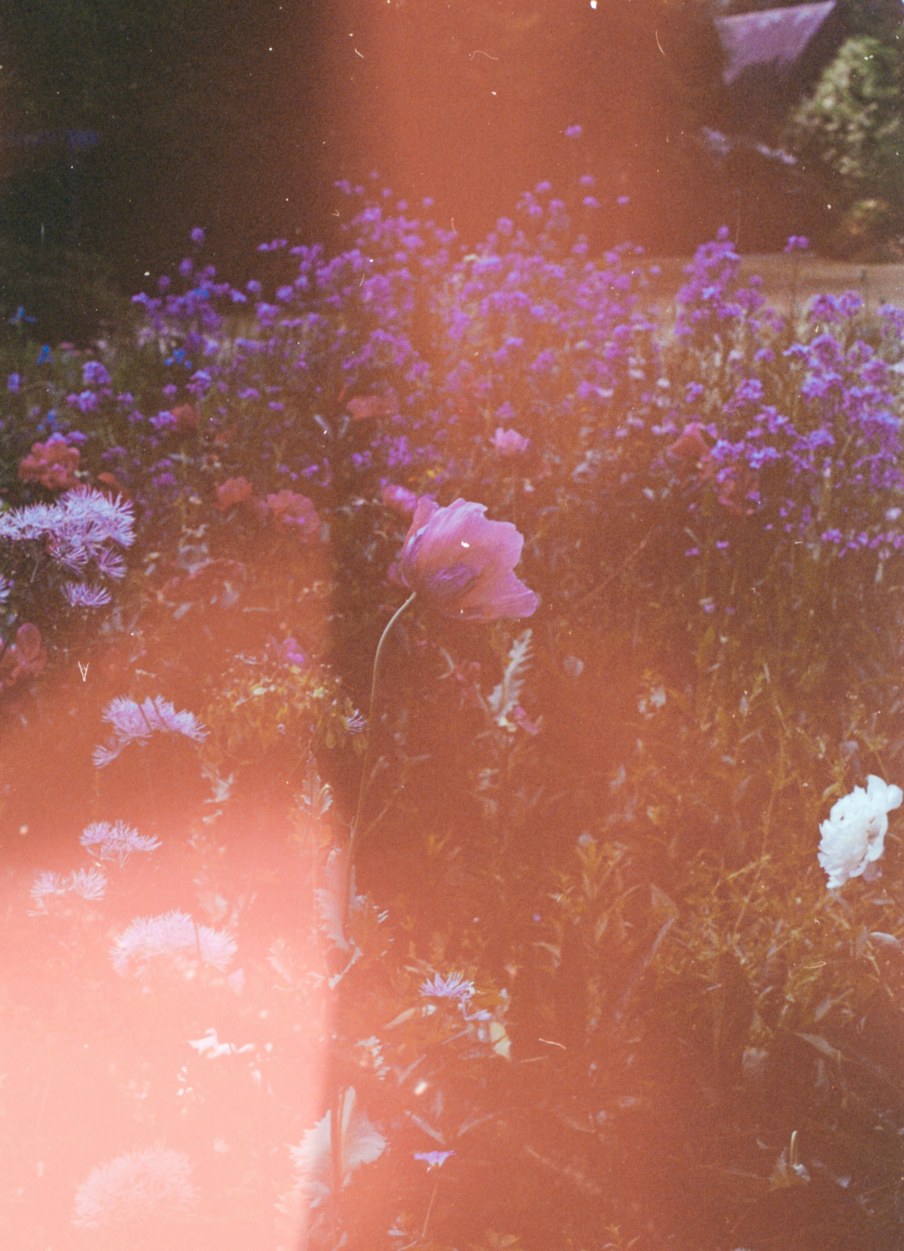 Photo by anniespratt