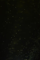 A dark image featuring numerous small, faint, scattered light spots resembling stars or particles.